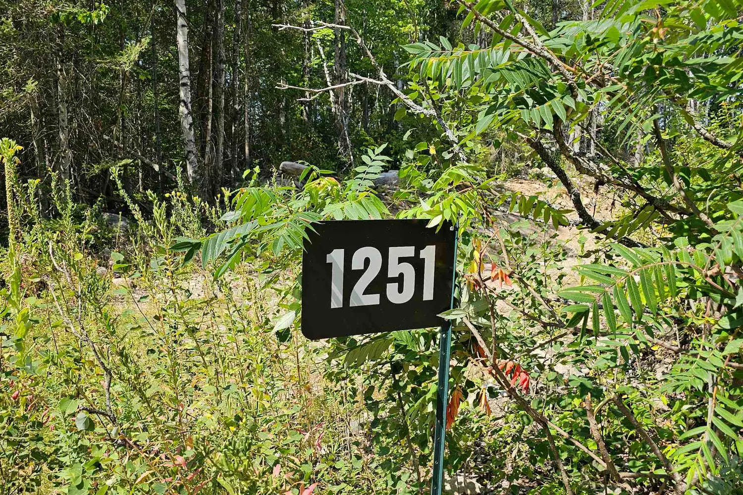 1251 Snake Creek Road