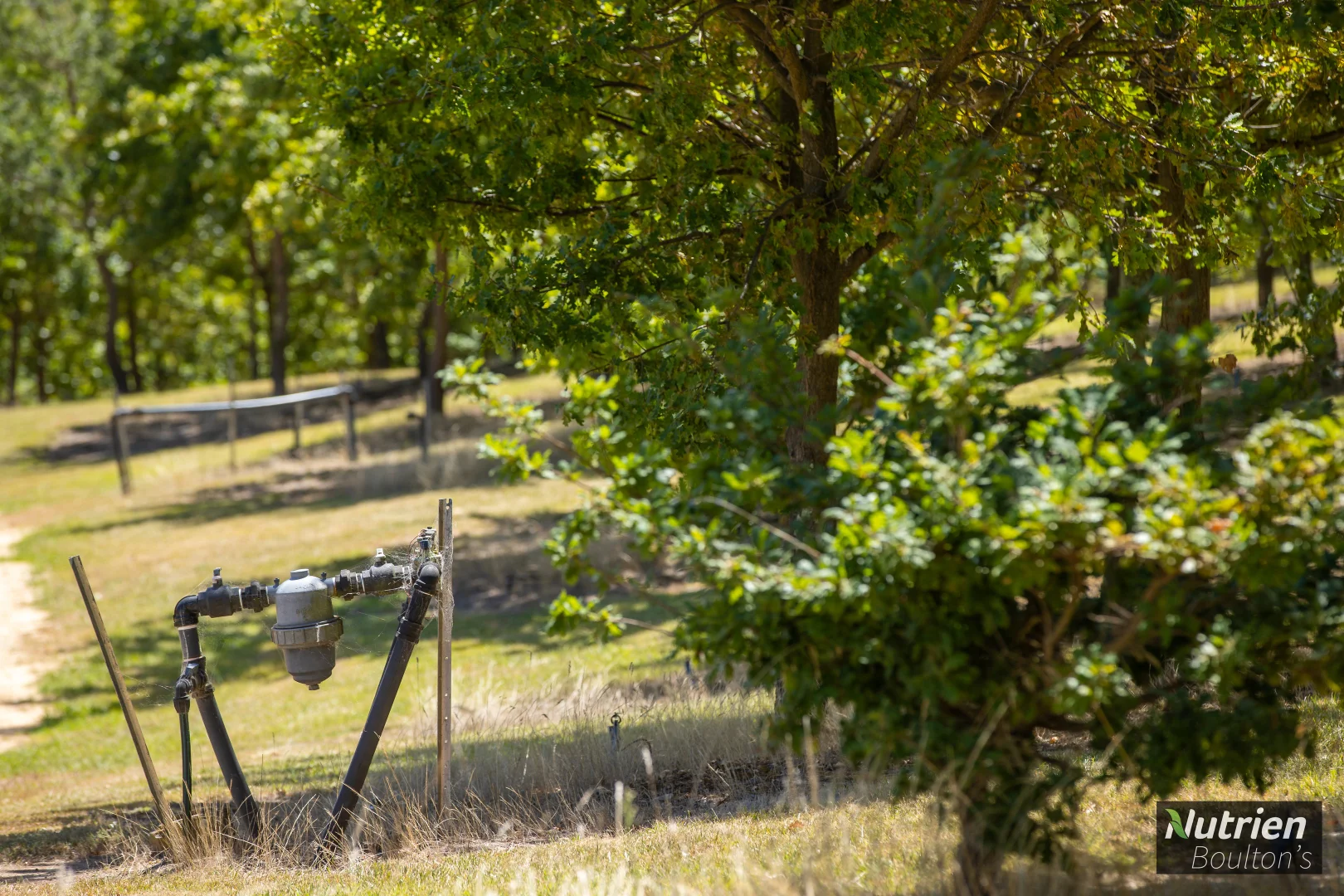 Additional image 49 of 224 Niangala-Walcha Road, Niangala NSW 2354