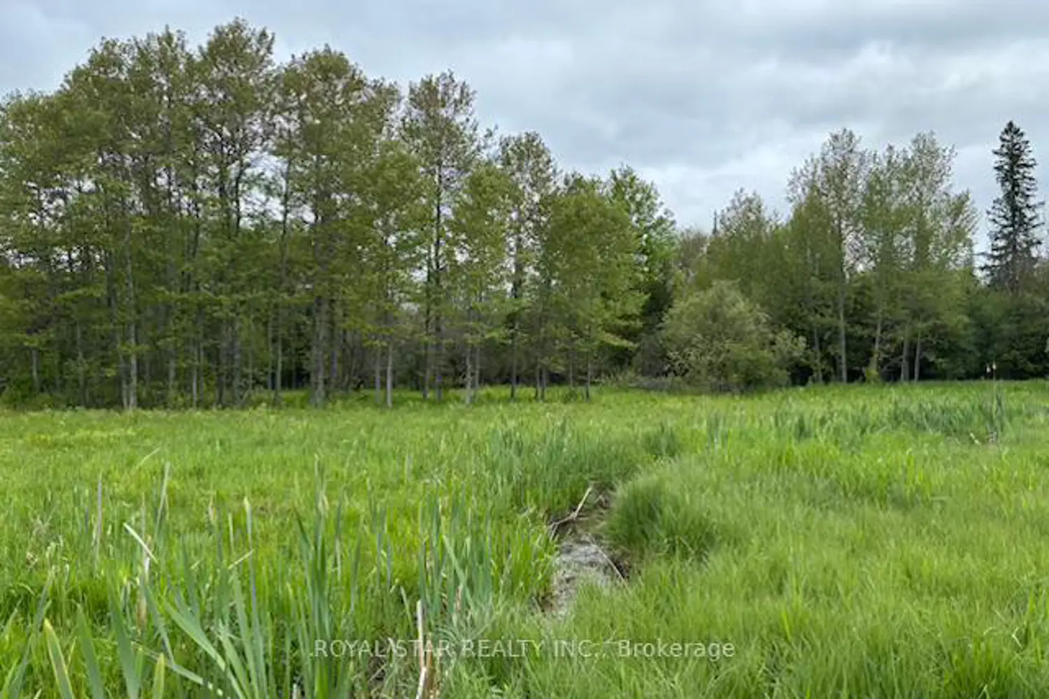 Additional image 6 of 104264 Grey Road 18