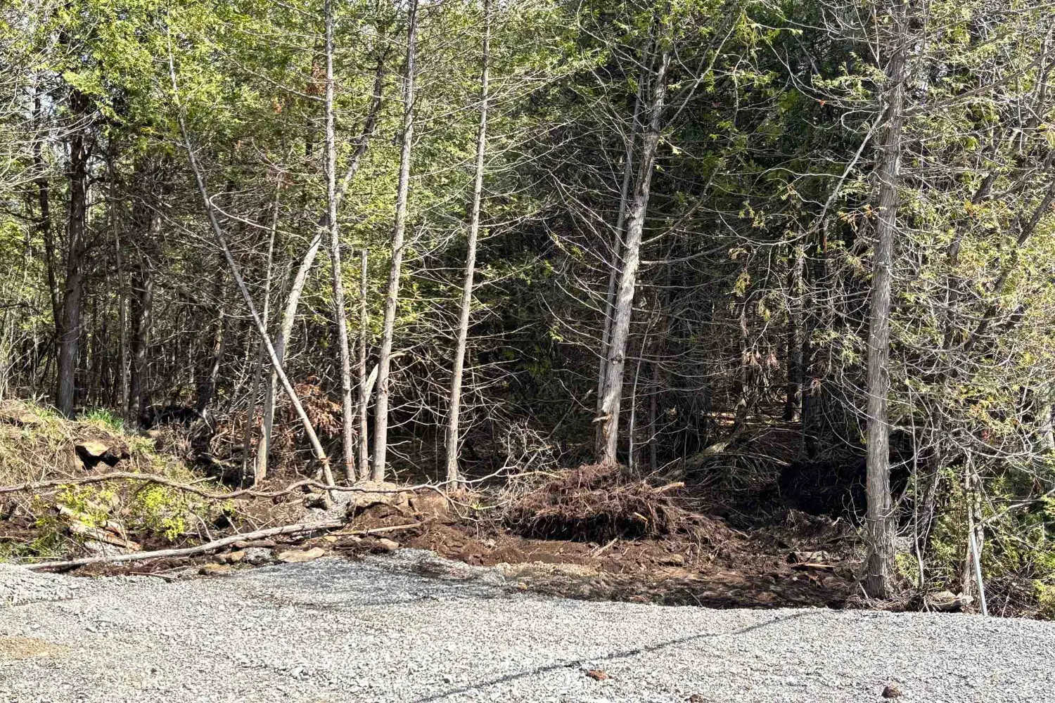 14311 County 15 Road photo 5