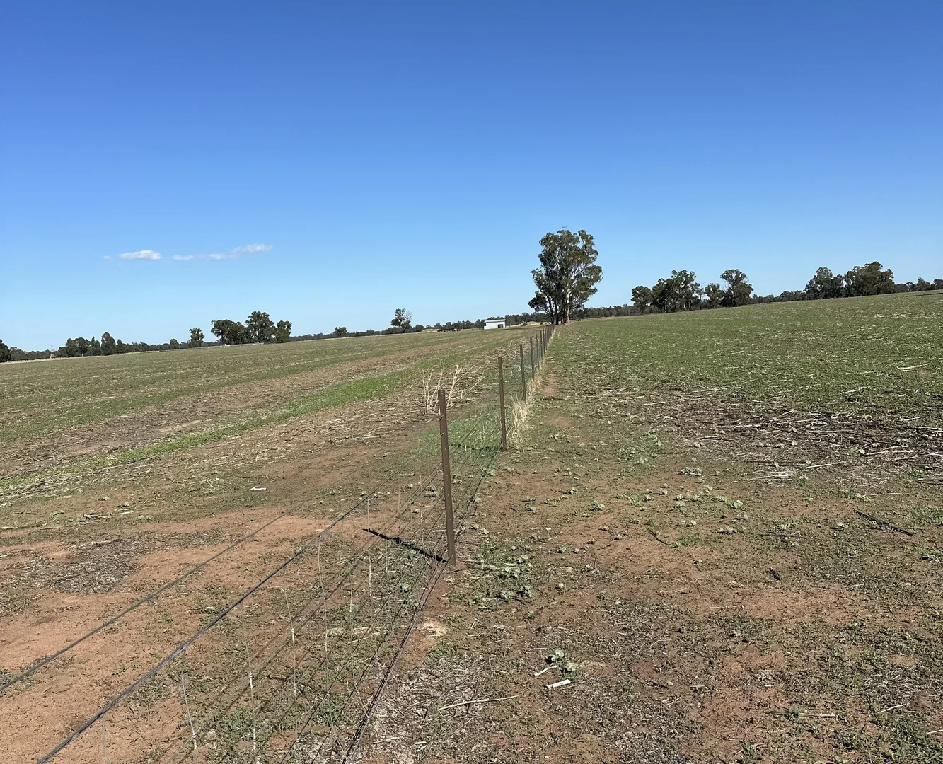 Additional image 3 of . Lilydale Road, Balldale NSW 2646