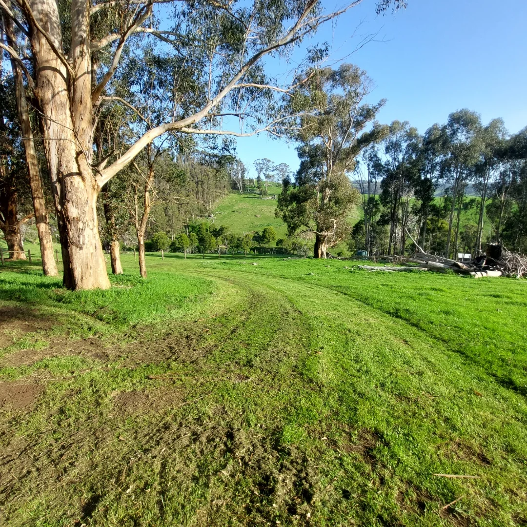 Additional image 3 of 114 Healeys Road, Yinnar South VIC 3869