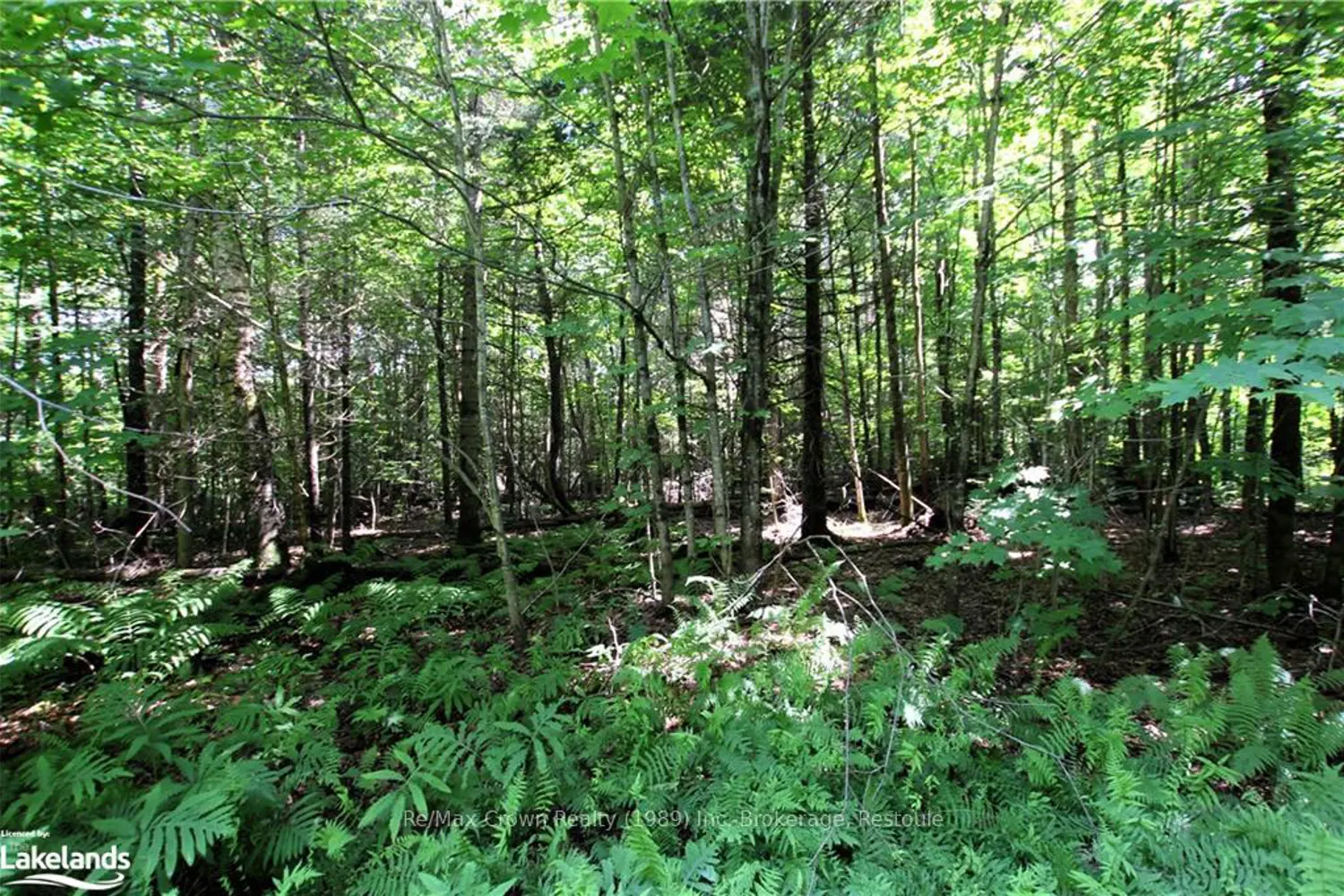 Additional image 4 of 0A 20Th Side Rd