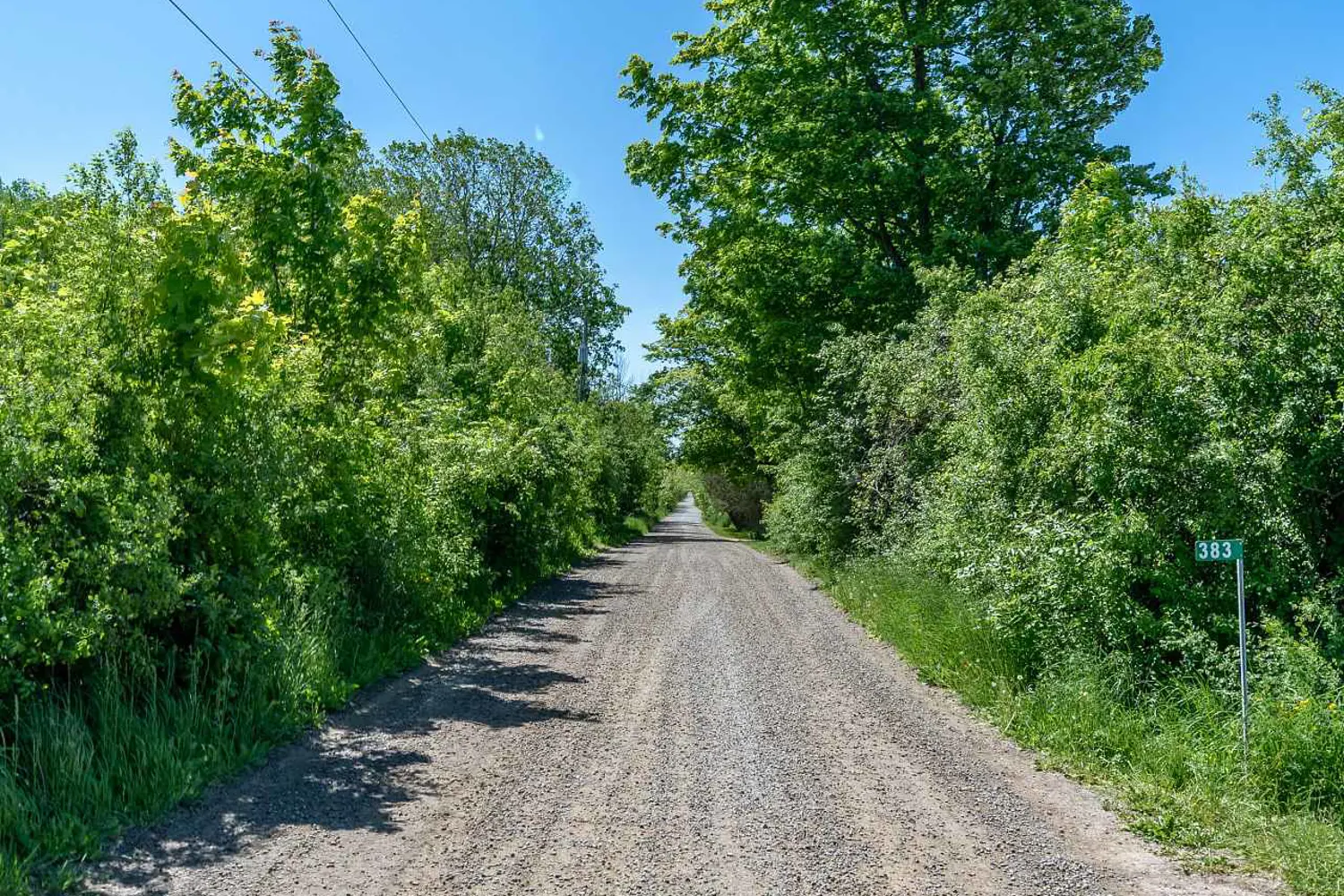 383 Chase Road photo 2