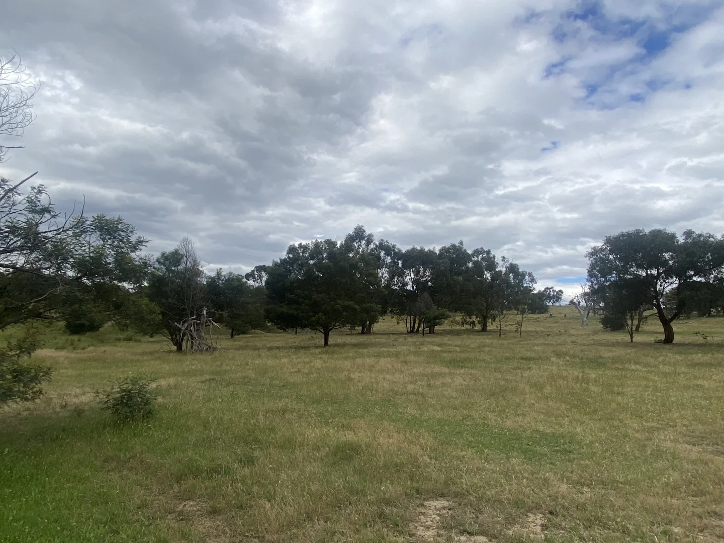Additional image 3 of 65 Braemore Place, Beveridge VIC 3753