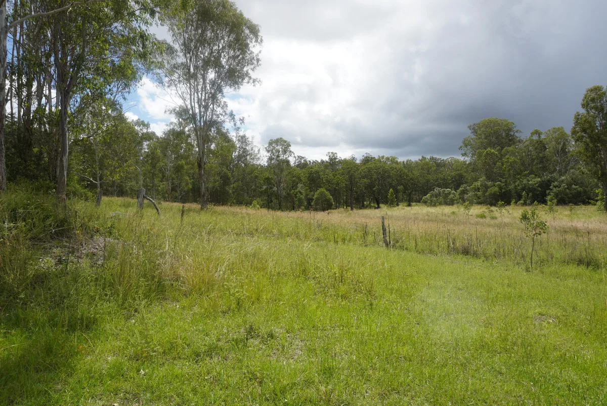 Additional image 46 of 487 Paddys Flat Road, Tabulam NSW 2469