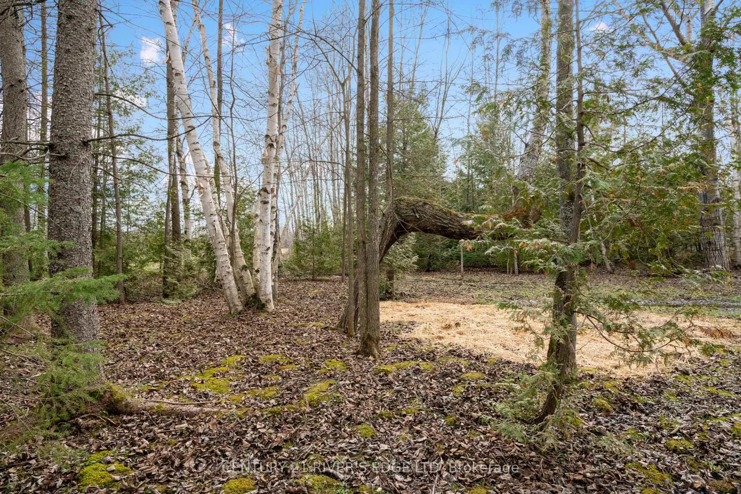 Additional image 11 of 308 Forbes Road