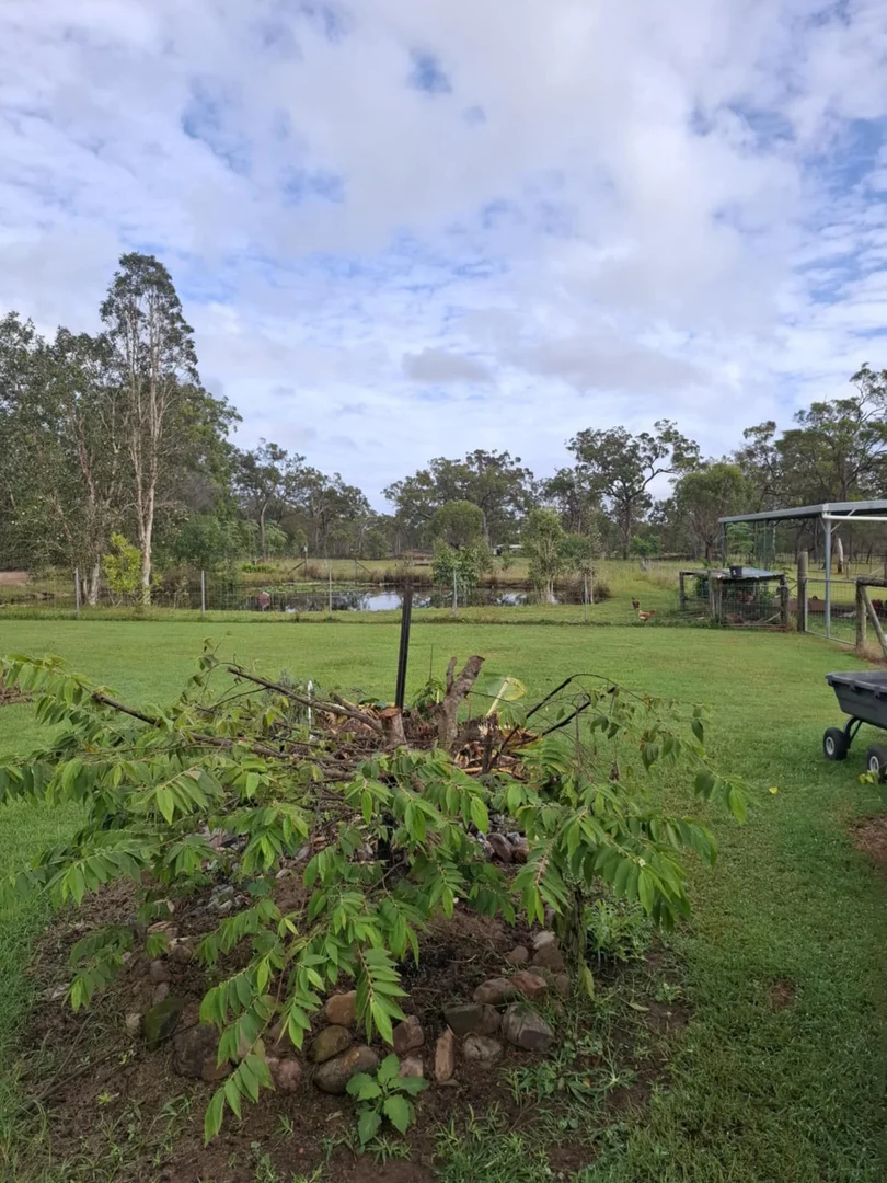 Additional image 31 of 235 Pacific Haven Circuit, Pacific Haven QLD 4659