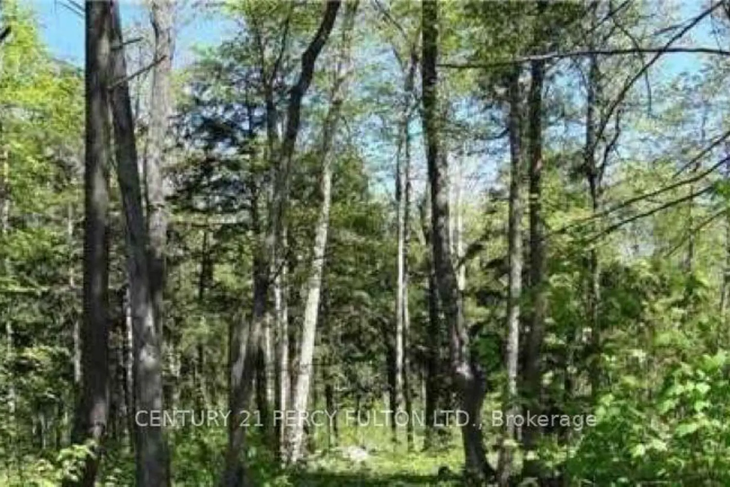 130 Nippissing Ridge Road photo 2