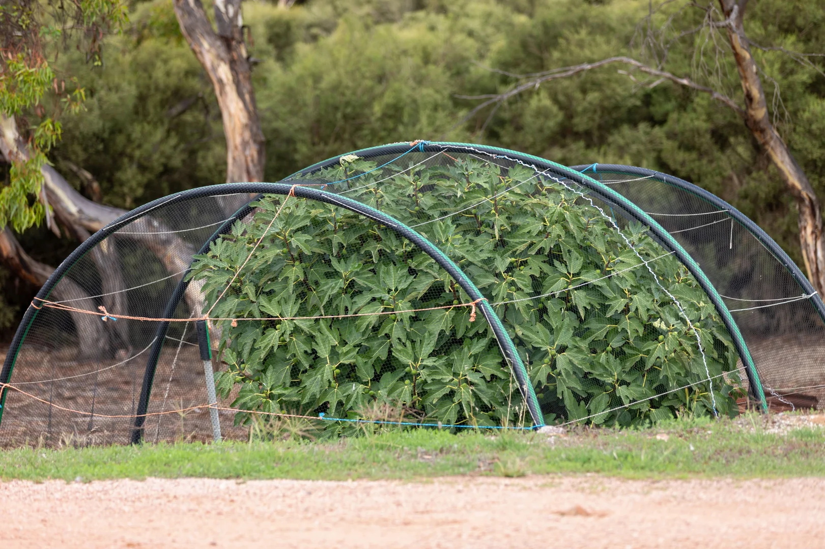 Additional image 46 of 1085 Chapman Road, Green Patch SA 5607