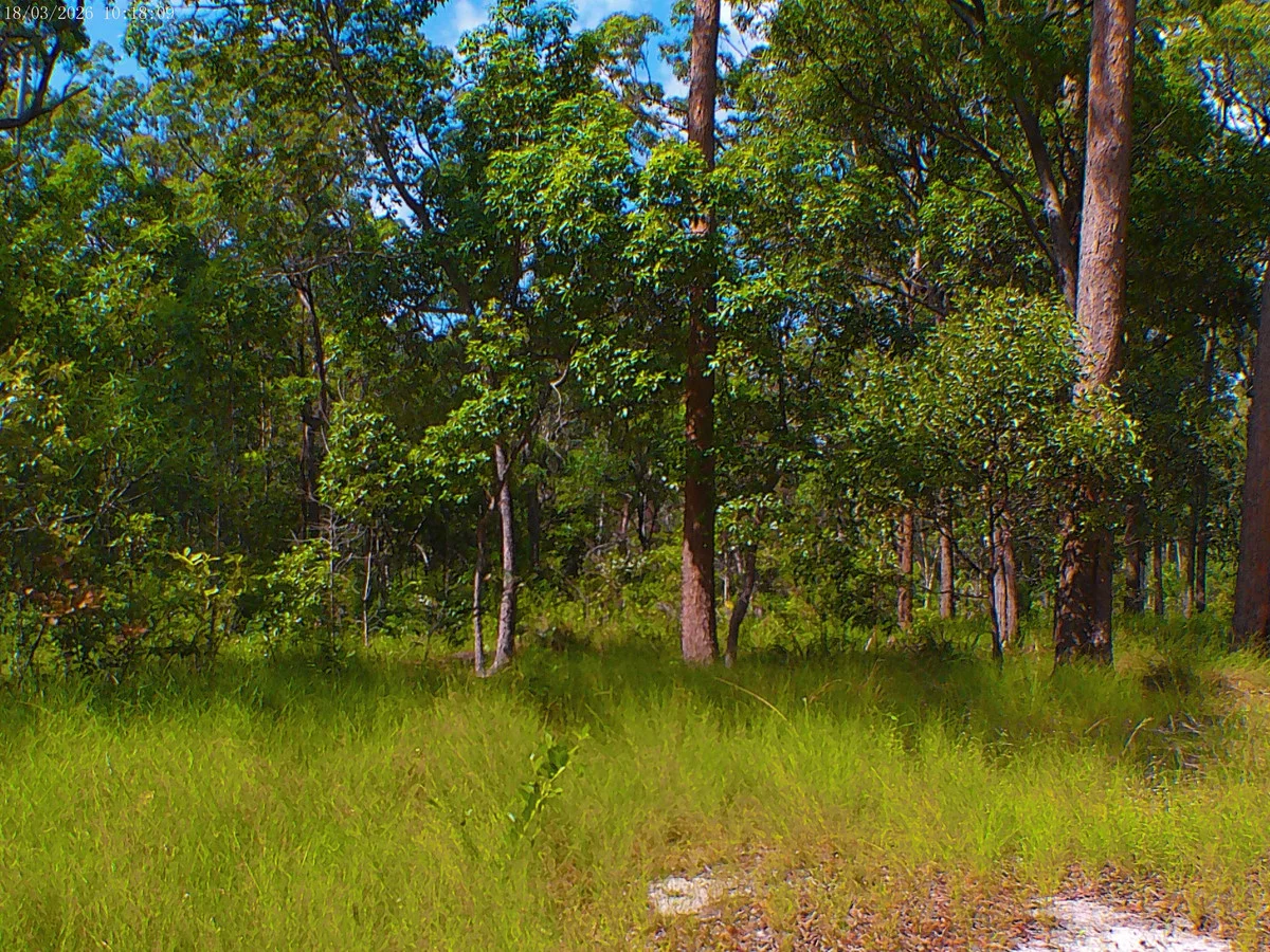 Additional image 4 of 2/71 Bartholdt Drive, Branyan QLD 4670