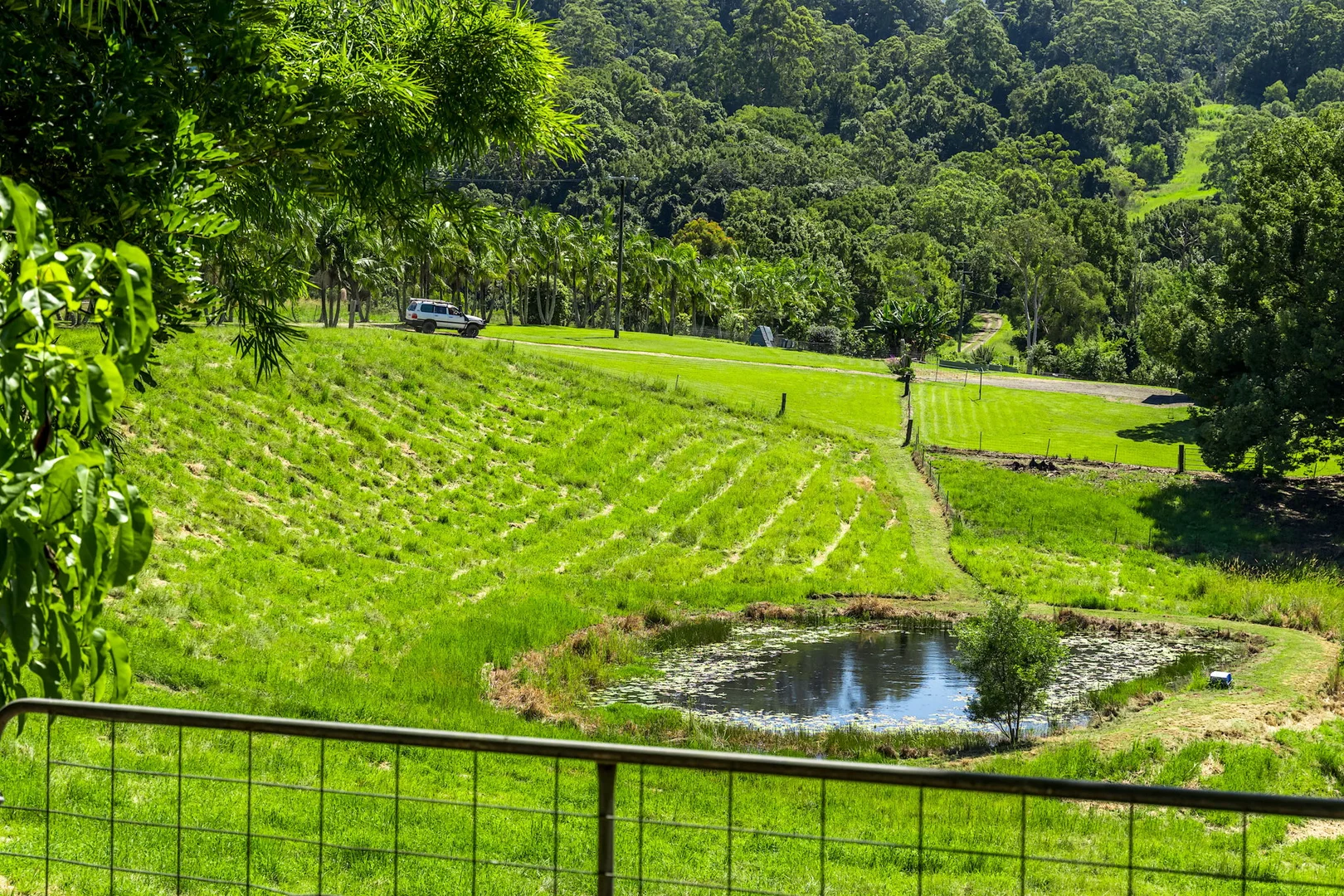 Additional image 43 of 61 Tallowood Road, Lillian Rock NSW 2480