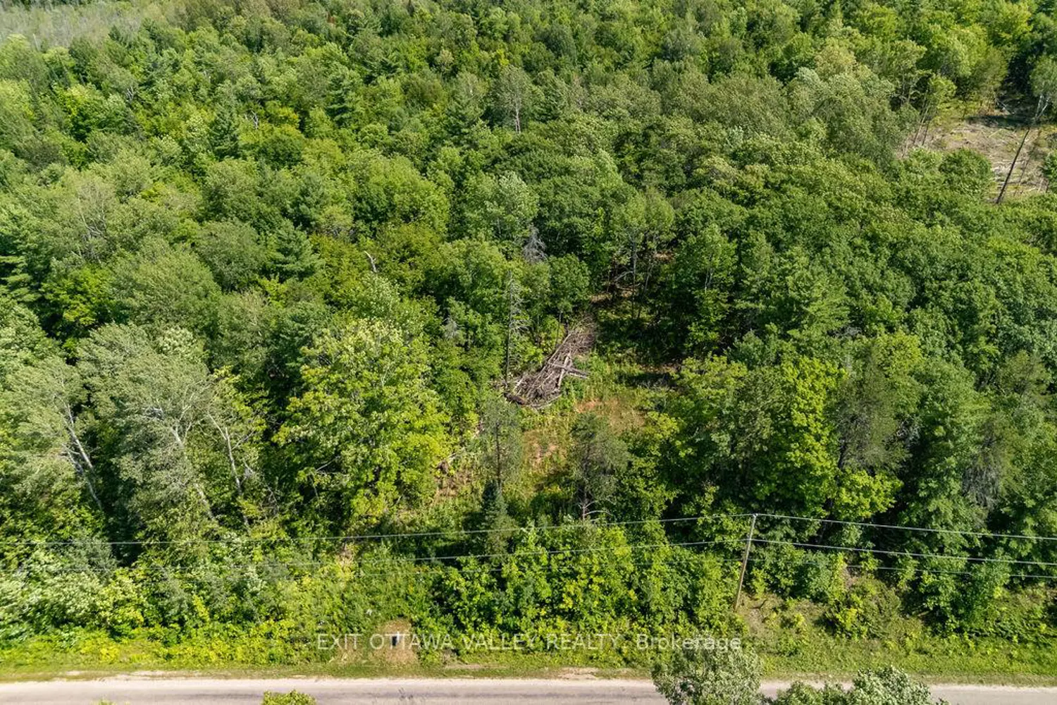 1042 Mcgrath Road photo 3