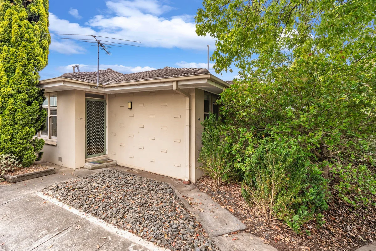 1/36 Orr Street, Manifold Heights VIC 3218