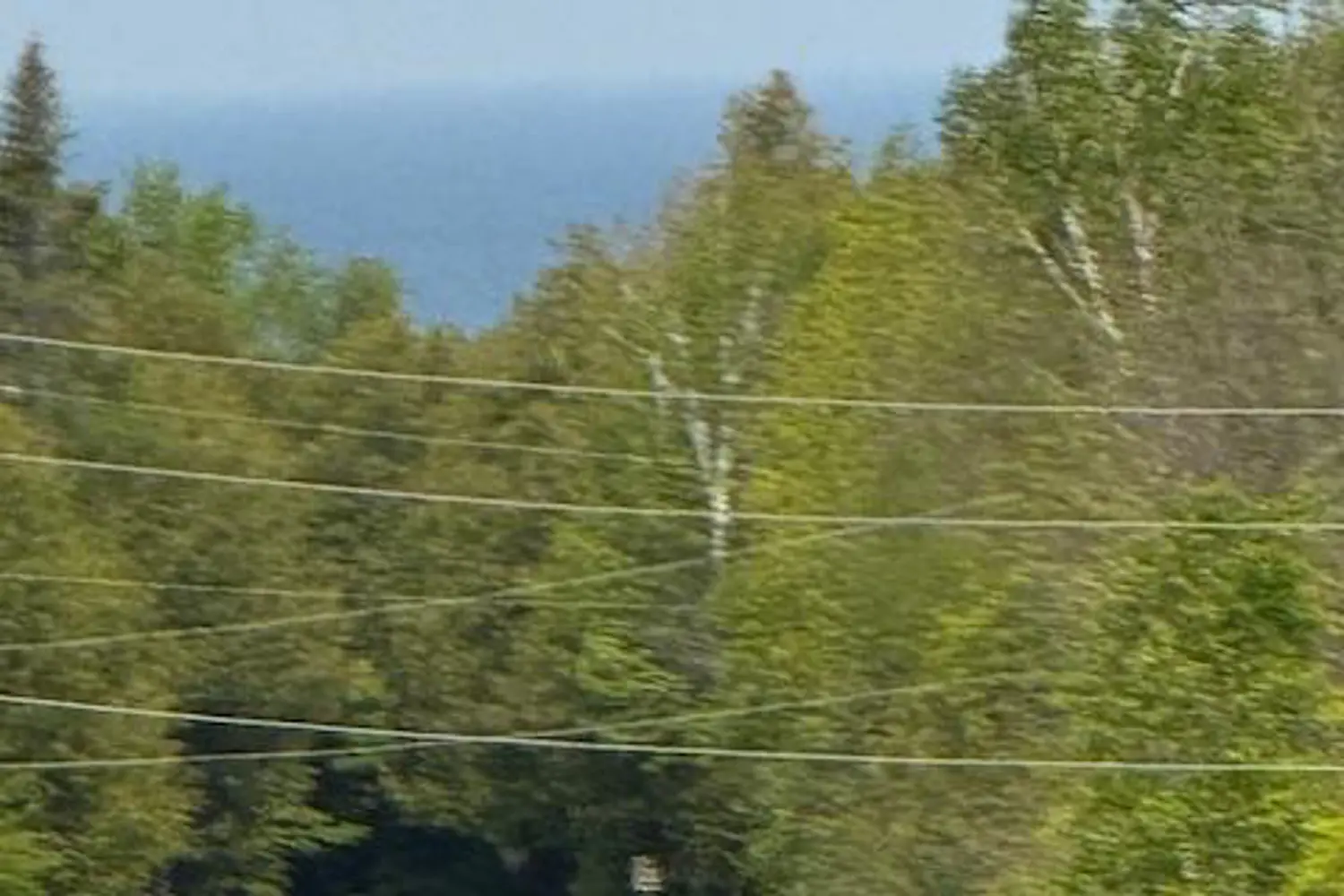3 Lorne Beach Road photo 4