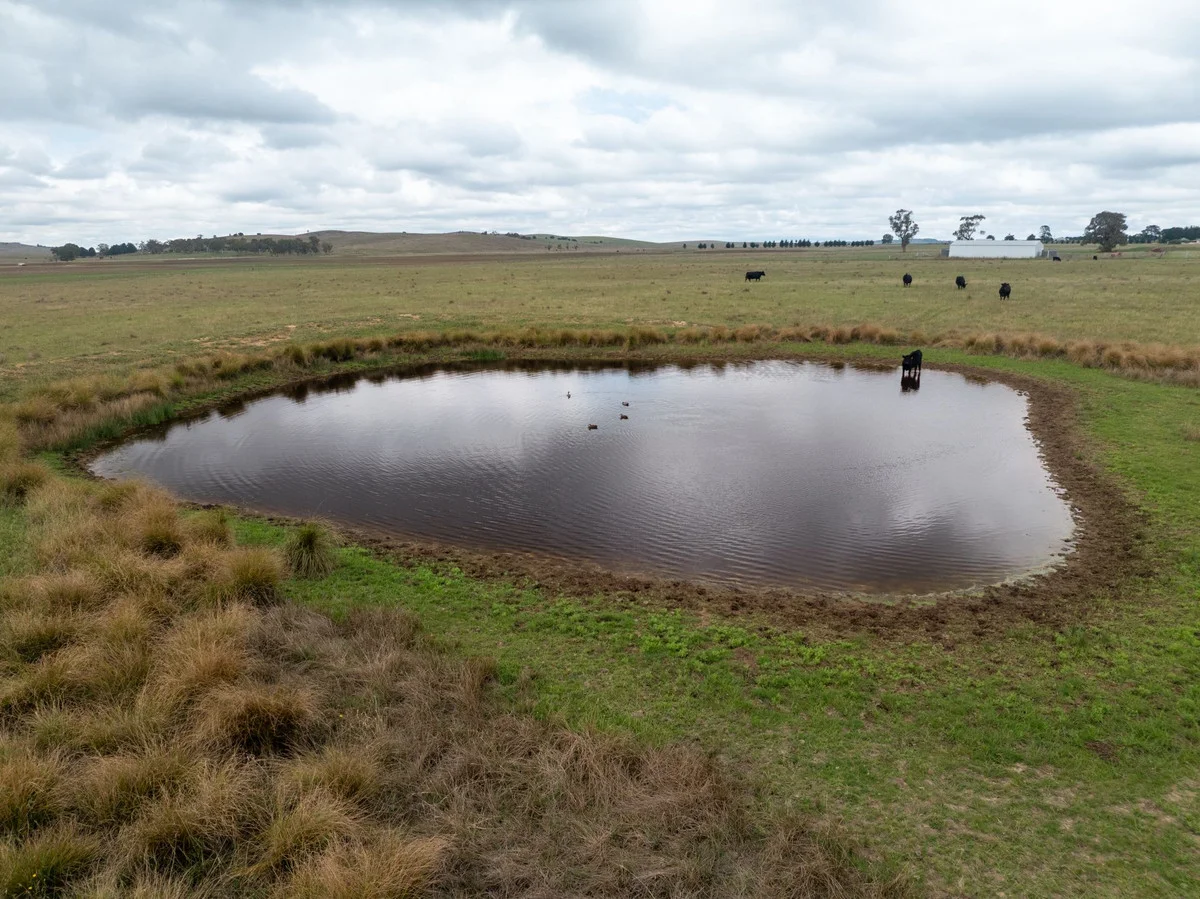Additional image 9 of 1706 Braidwood Road, Tarago NSW 2580