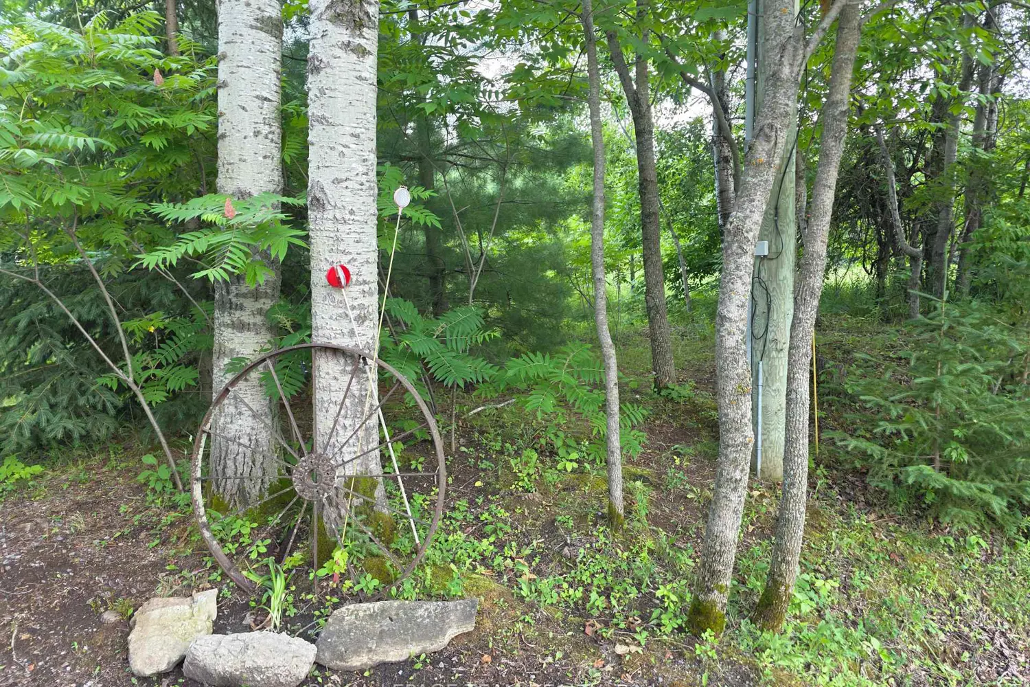 Additional image 9 of 2630 Mcmullen Road