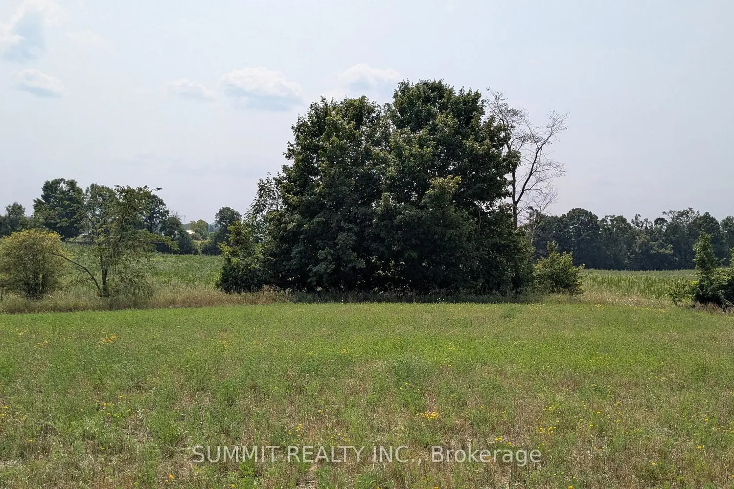 Additional image 4 of 16419 Hwy 62