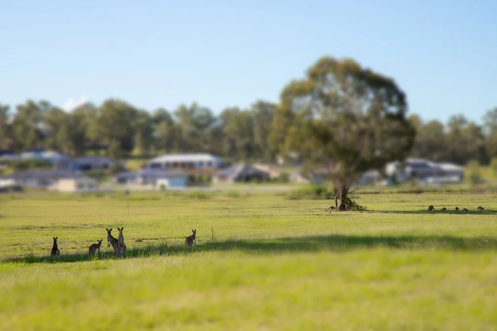 Additional image 7 of 8 Farm Court, Hatton Vale QLD 4341