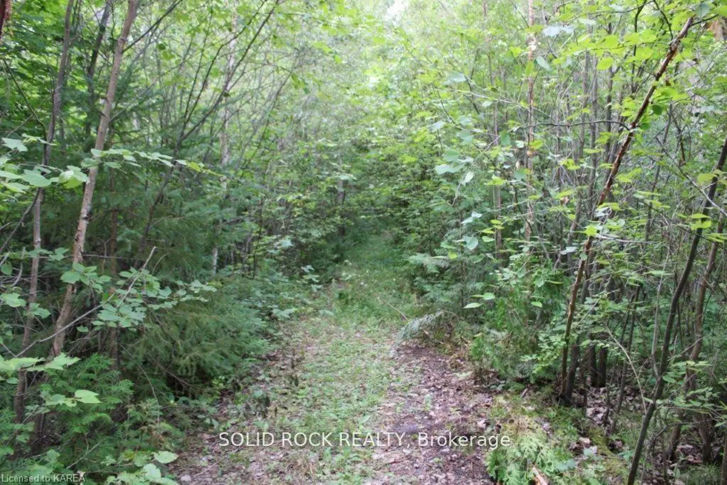 2209 Jochem Road photo 4