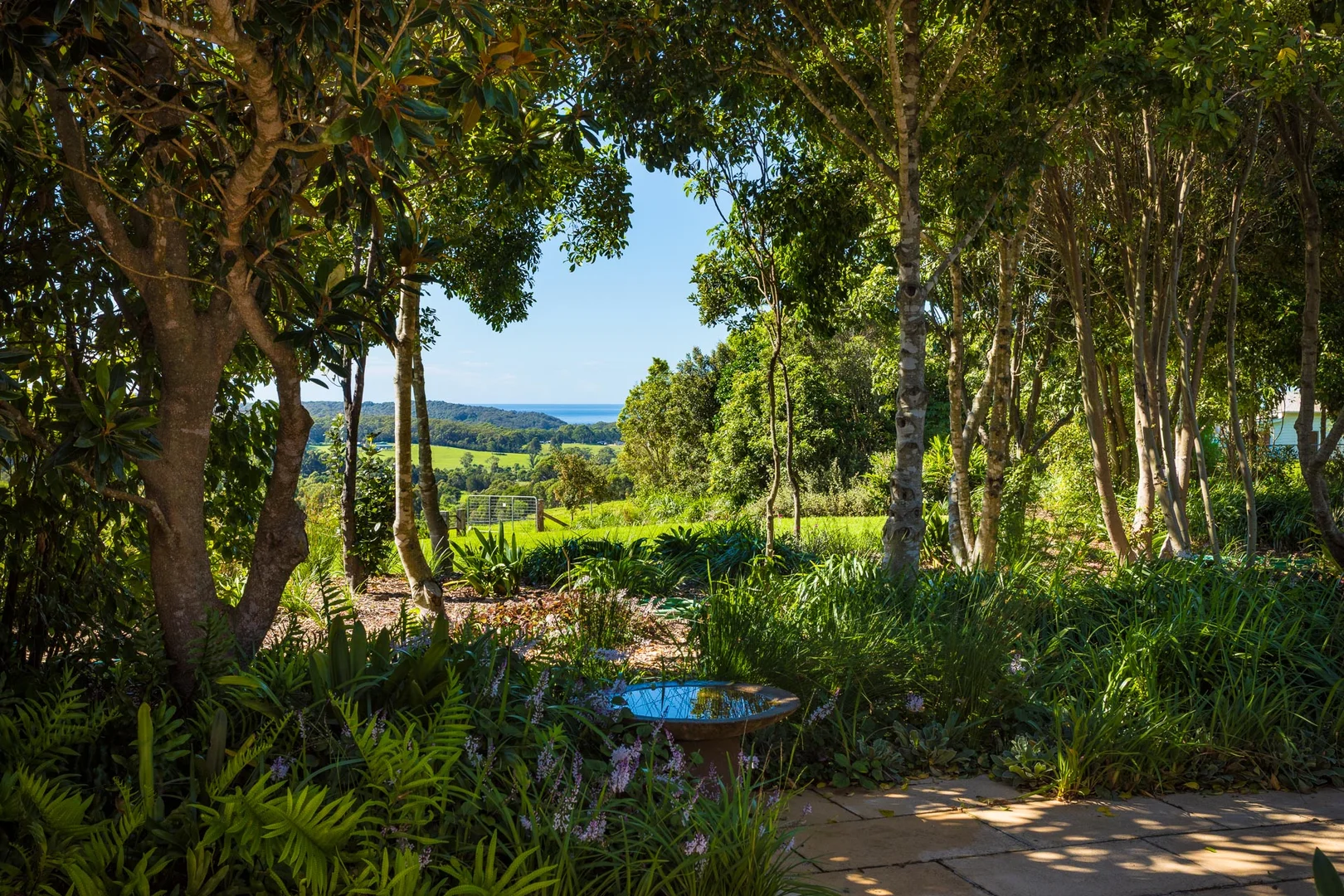 Additional image 36 of 259 Barrabooka Road, Tanja NSW 2550
