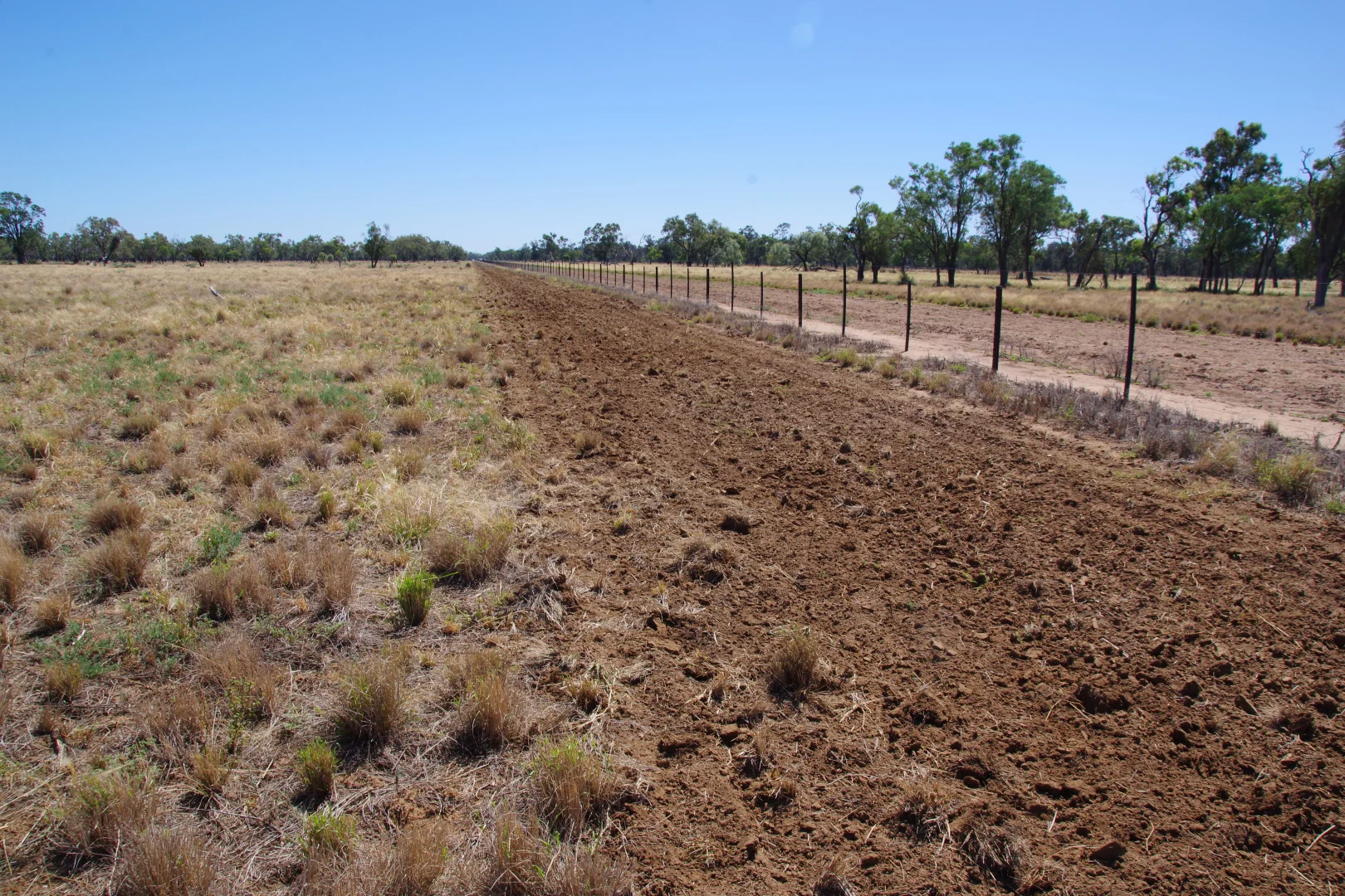 Additional image 17 of . Sunnyside Lane, Wee Waa NSW 2388
