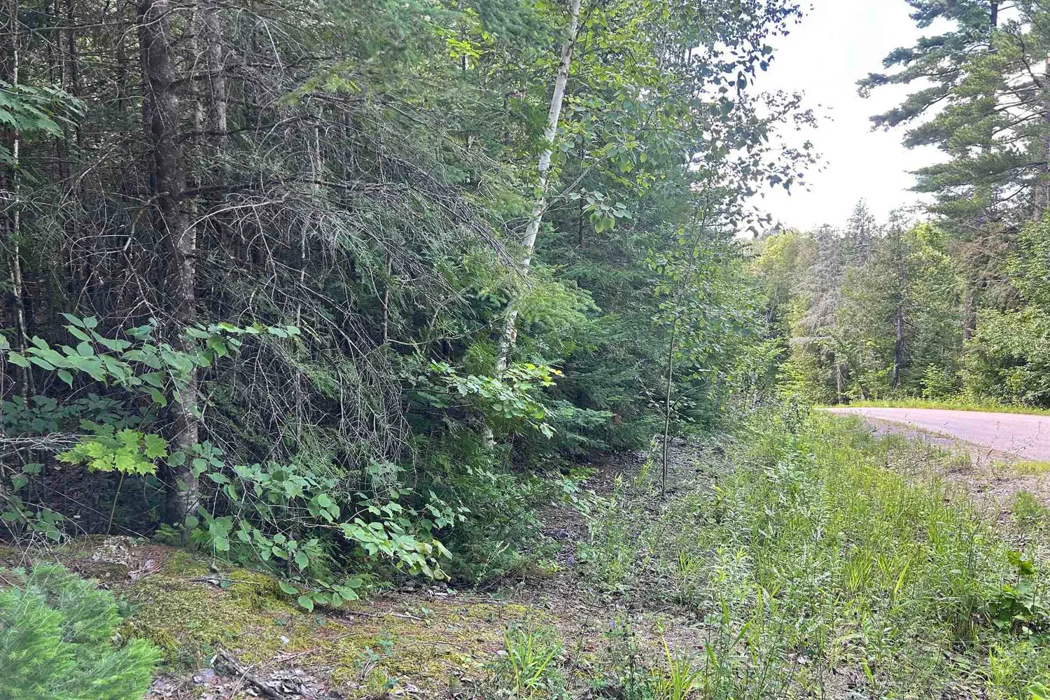 Additional image 7 of 0 Trebbien Road