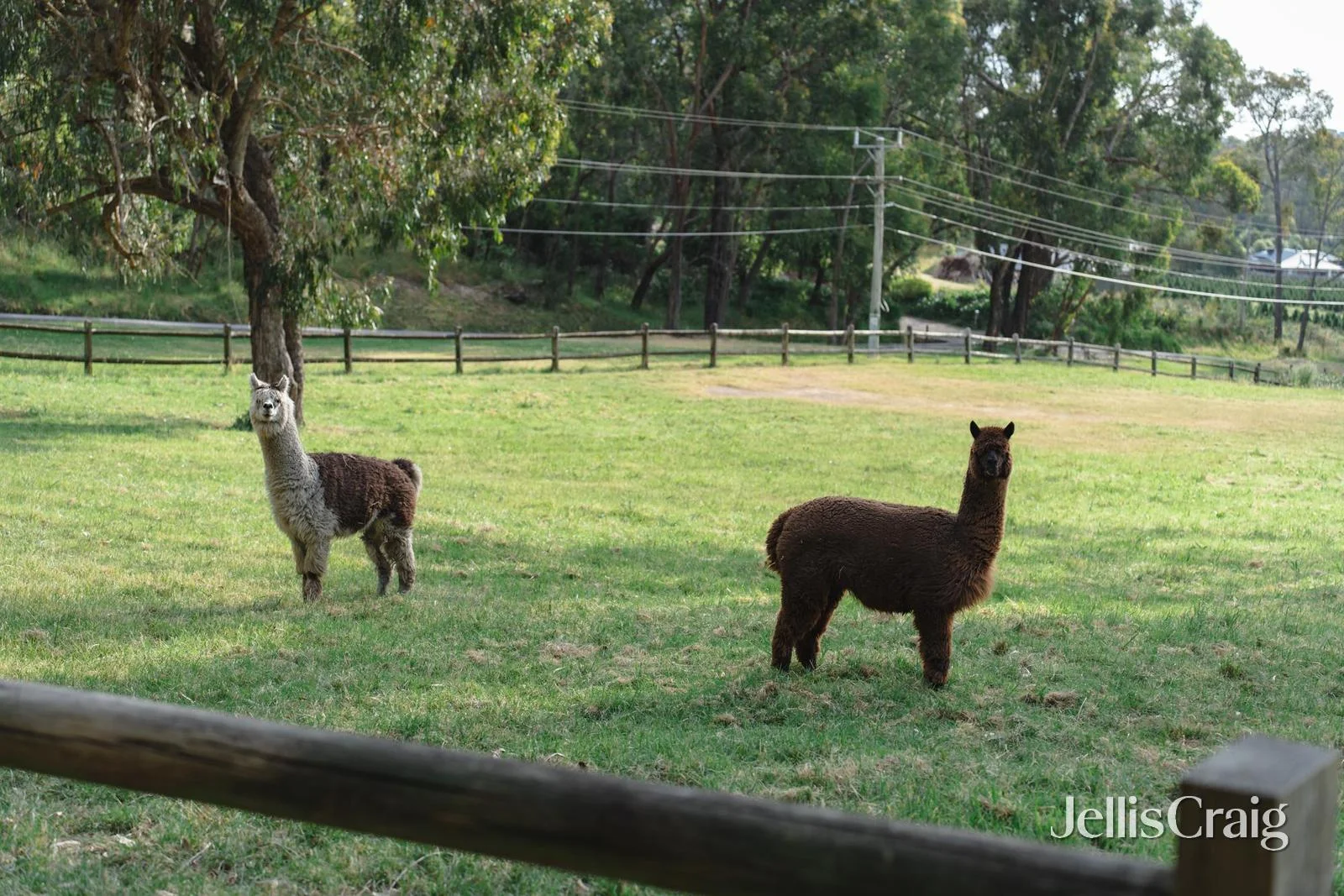 Additional image 17 of 45-49 Moore Avenue, Montrose VIC 3765