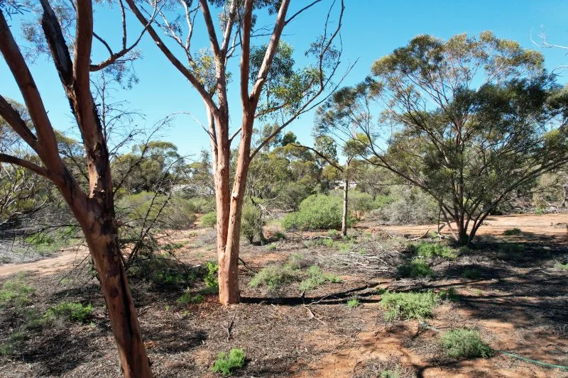 26 Slaughter Road, Loveday SA 5345 photo 3