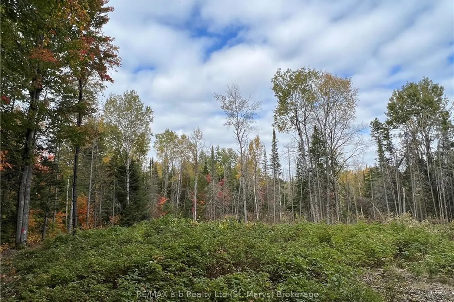 Additional image 3 of 1759 Alsace Road