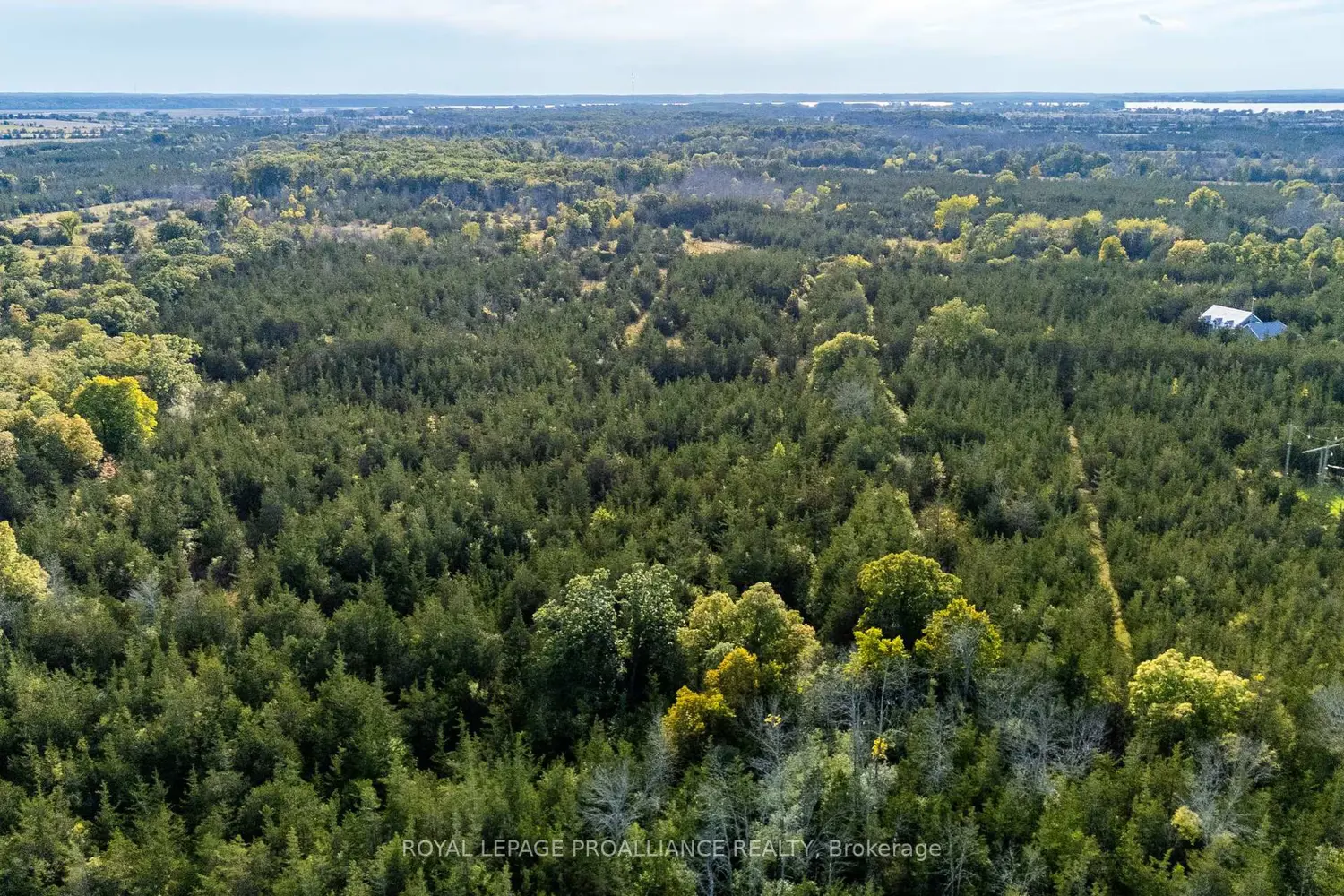Additional image 9 of Lot 45 Sprague Road