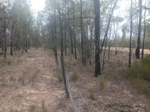 Additional image 17 of 872 South Road, Tara QLD 4421