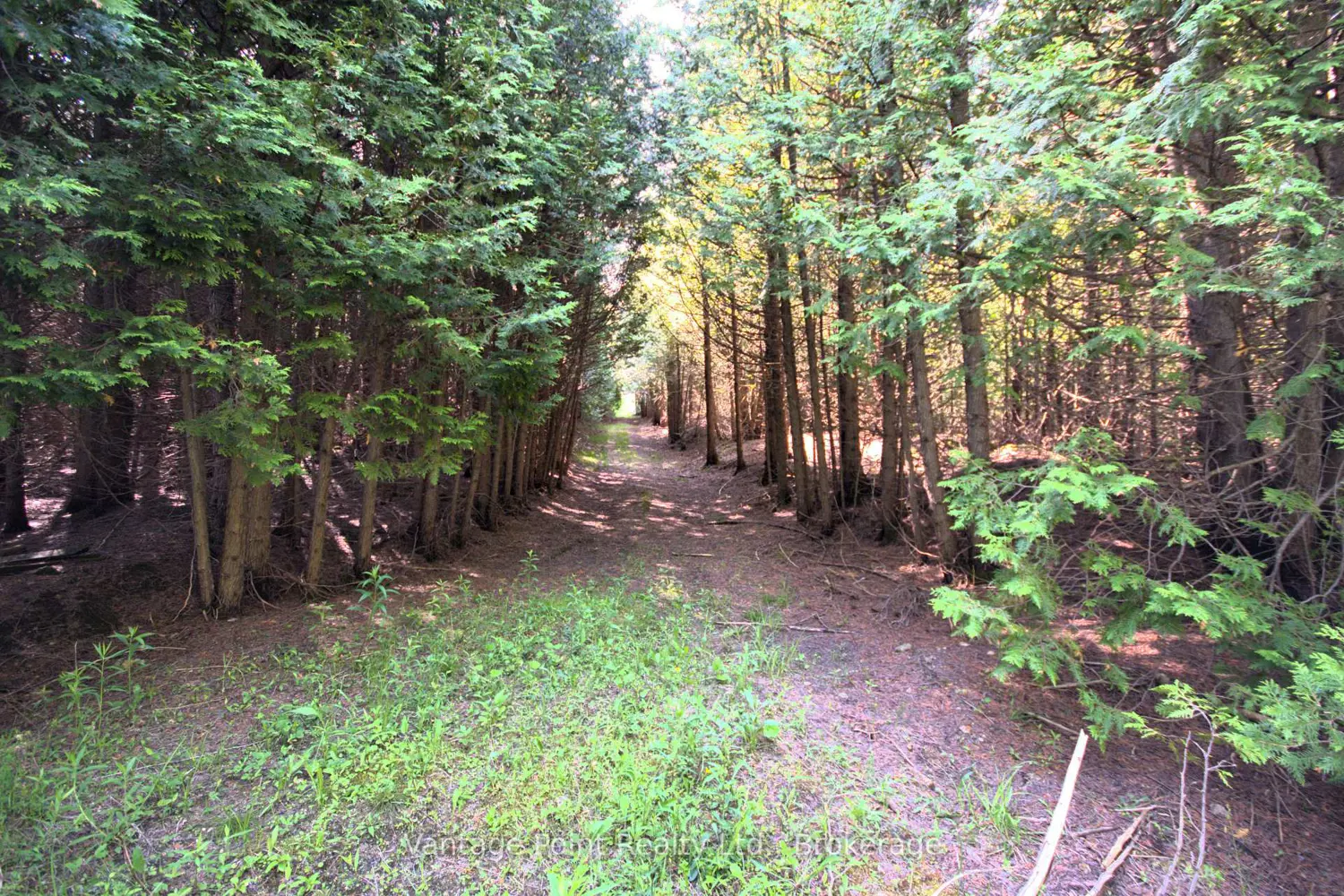 Additional image 15 of 775381 10 Highway