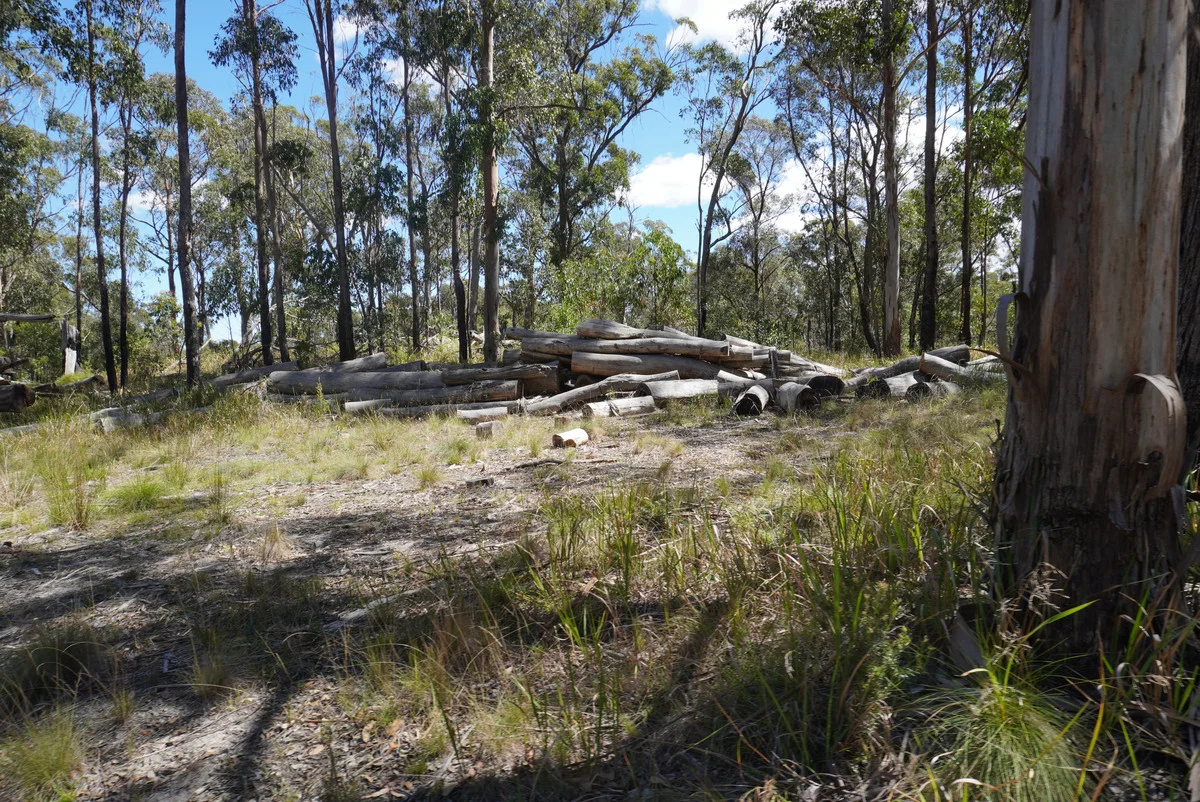 Additional image 37 of 1293 Mount Lindesay Road, Tenterfield NSW 2372
