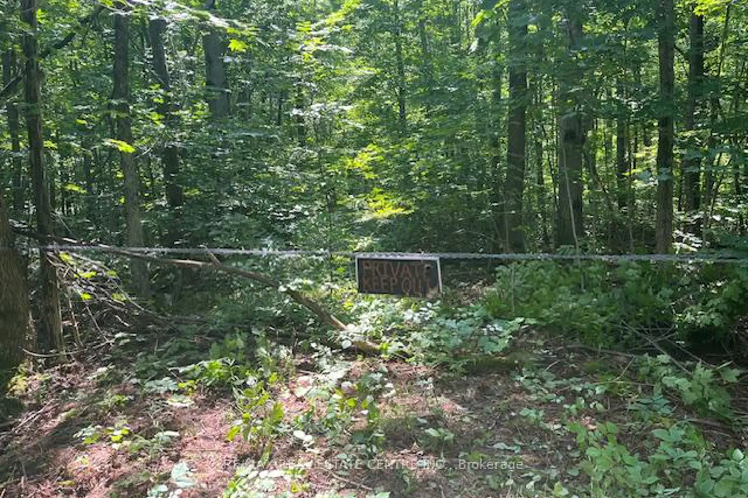 Additional image 9 of Pt Lt44 Chatsworth 24 Road