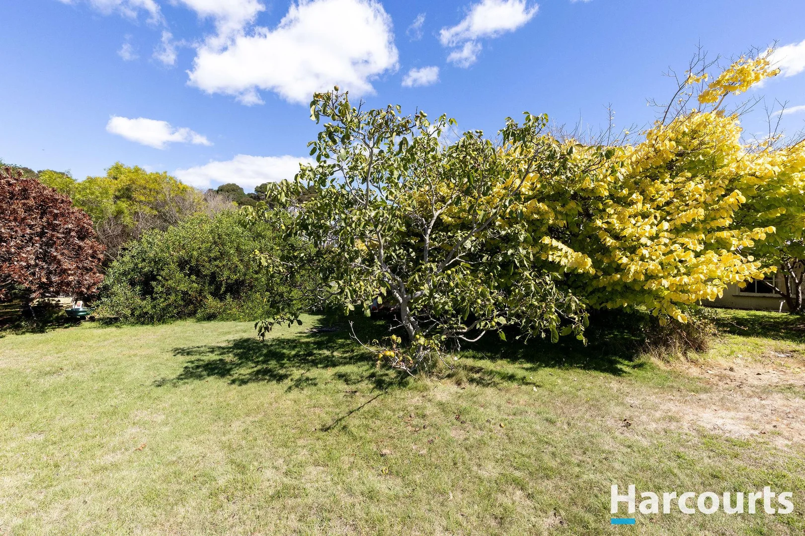 Additional image 13 of 5-6 River Road, Port Sorell TAS 7307