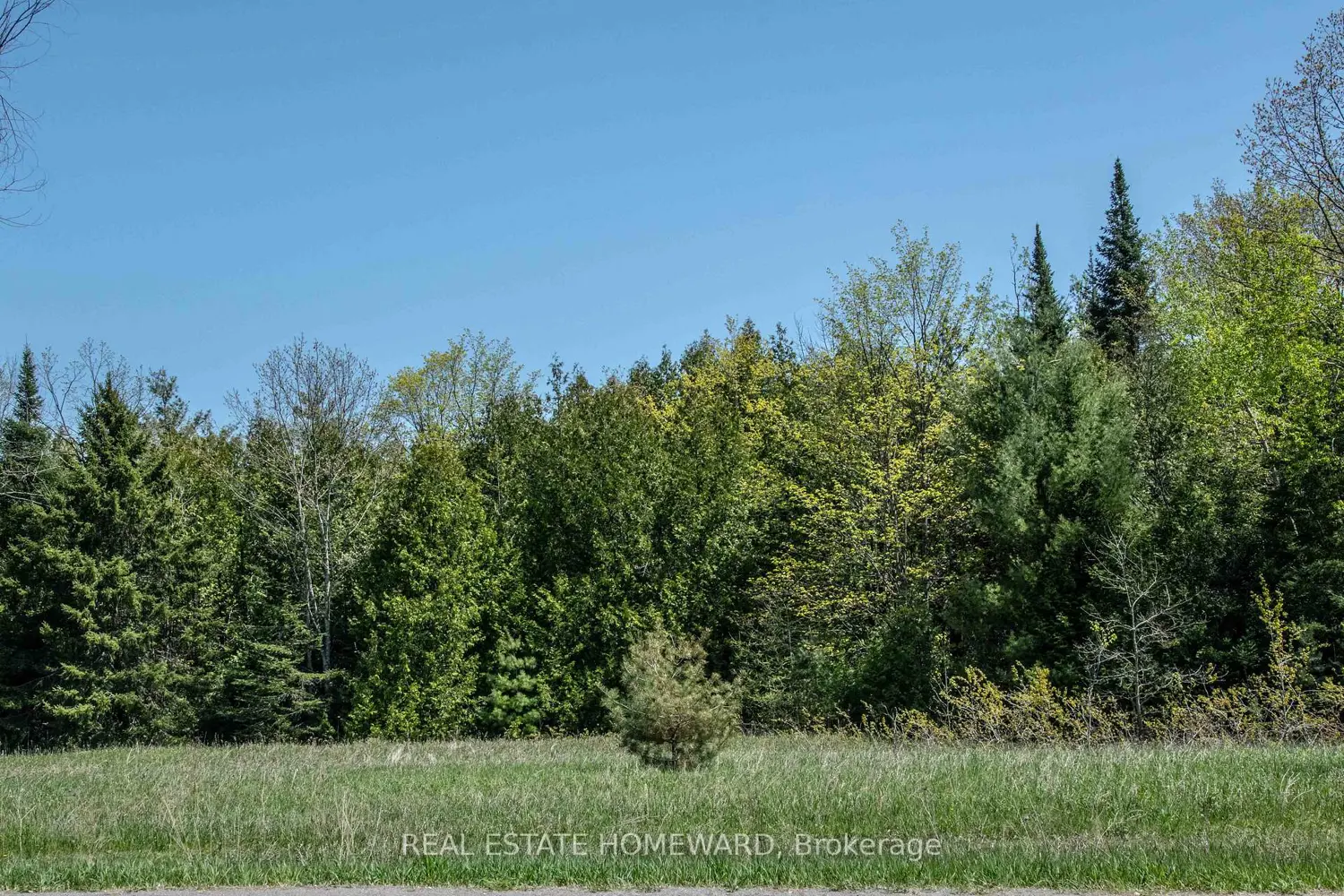 Additional image 11 of P/L35 Con 5 Bull Road