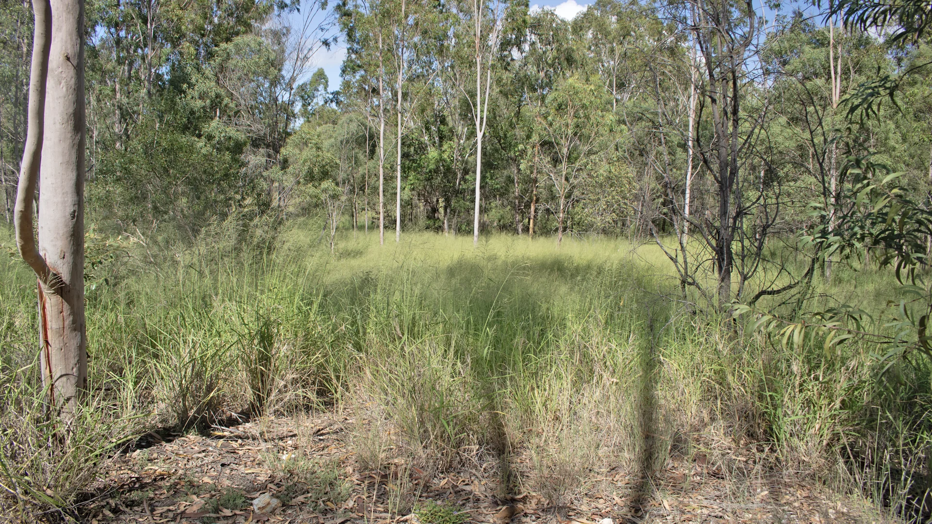 Lot 1/MPH22711 Burnett Highway, Eidsvold QLD 4627 photo 5