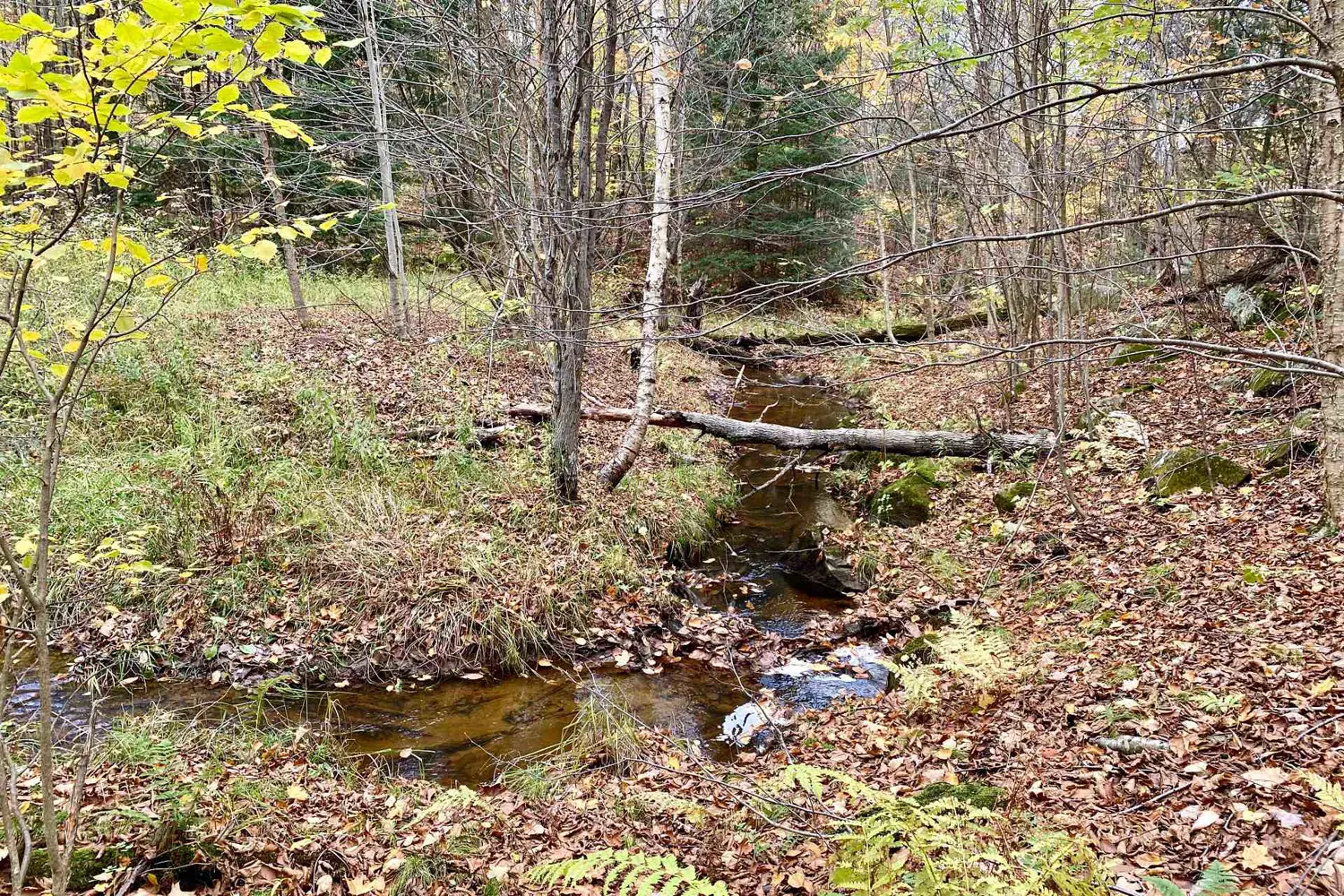 0 Brown Lane photo 4