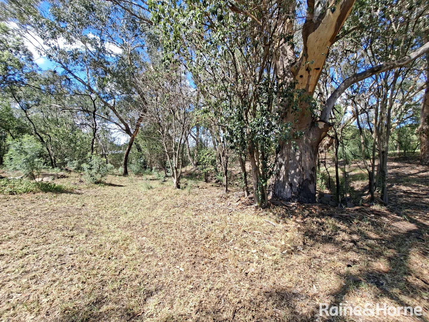 Additional image 11 of 70-76 Goddard Street, Coolah NSW 2843