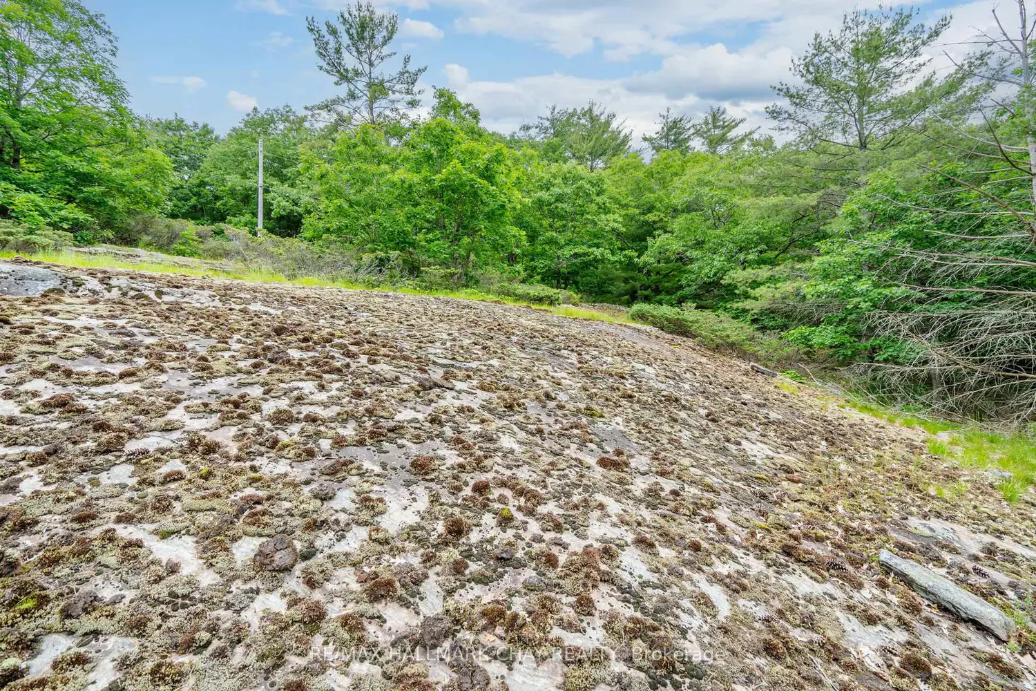 Additional image 9 of Lot 2 Delta Road