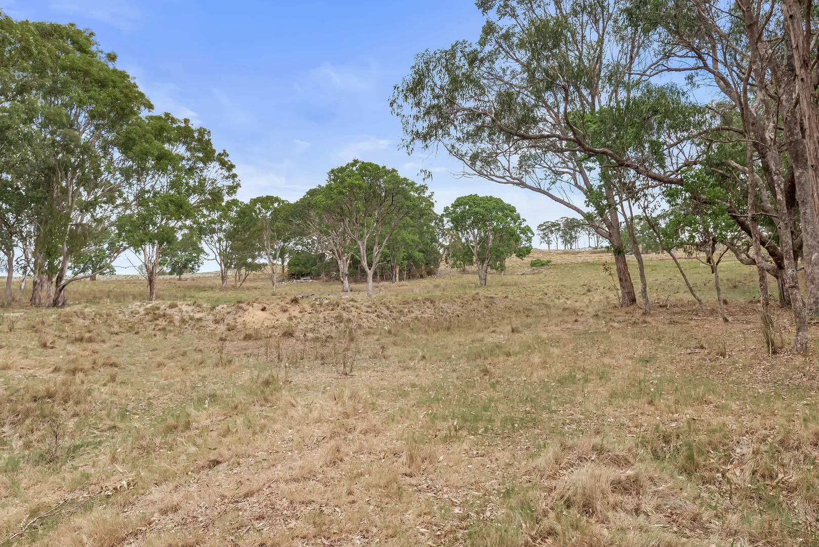Additional image 7 of Lot 43 Sunnyside Loop Road, Tenterfield NSW 2372