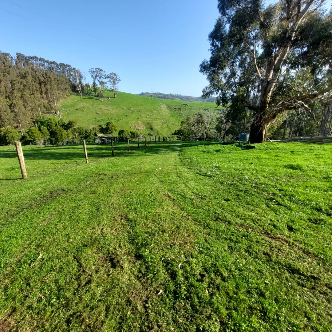 Additional image 2 of 114 Healeys Road, Yinnar South VIC 3869