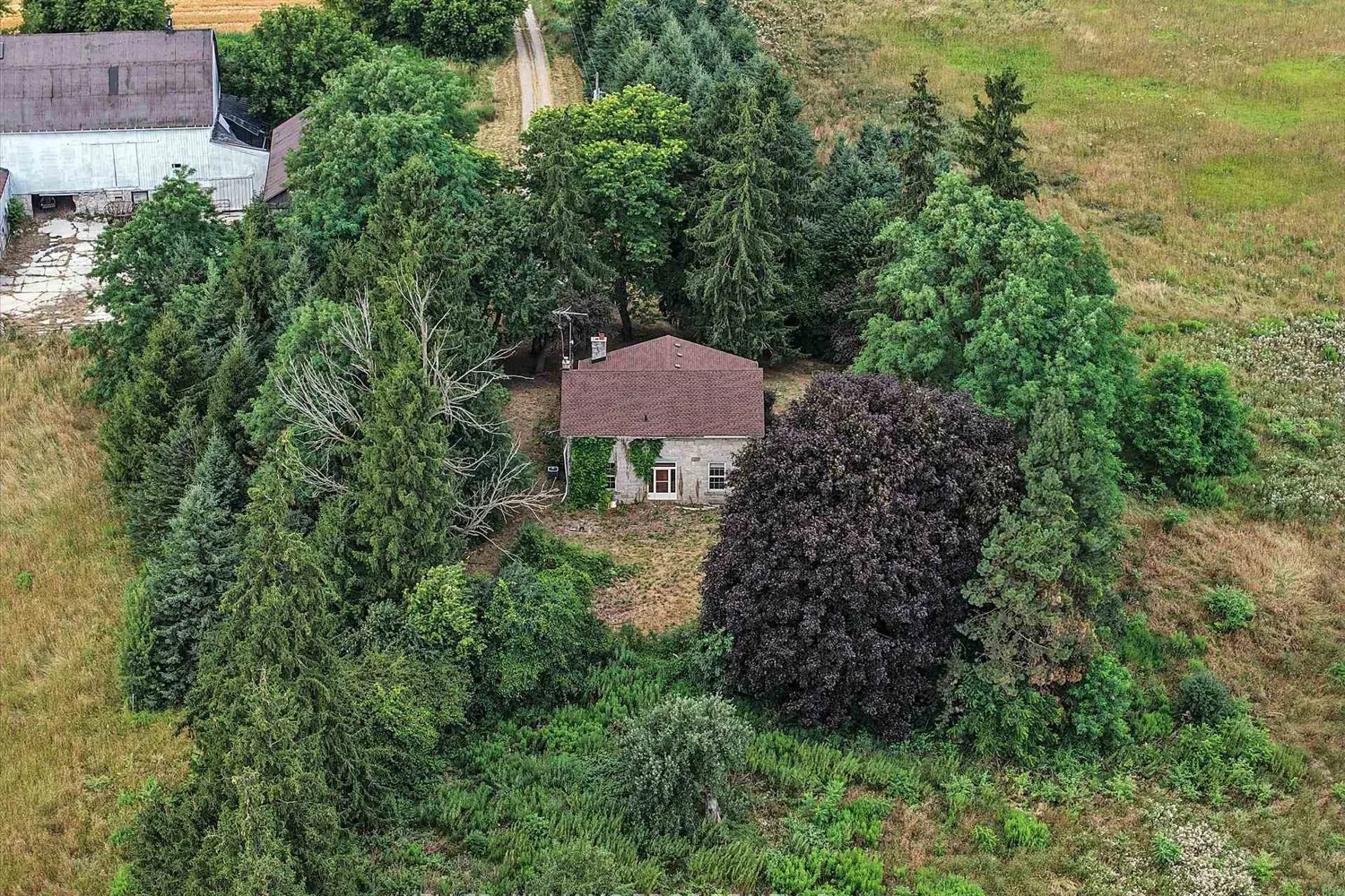 502 Butter Road photo 3