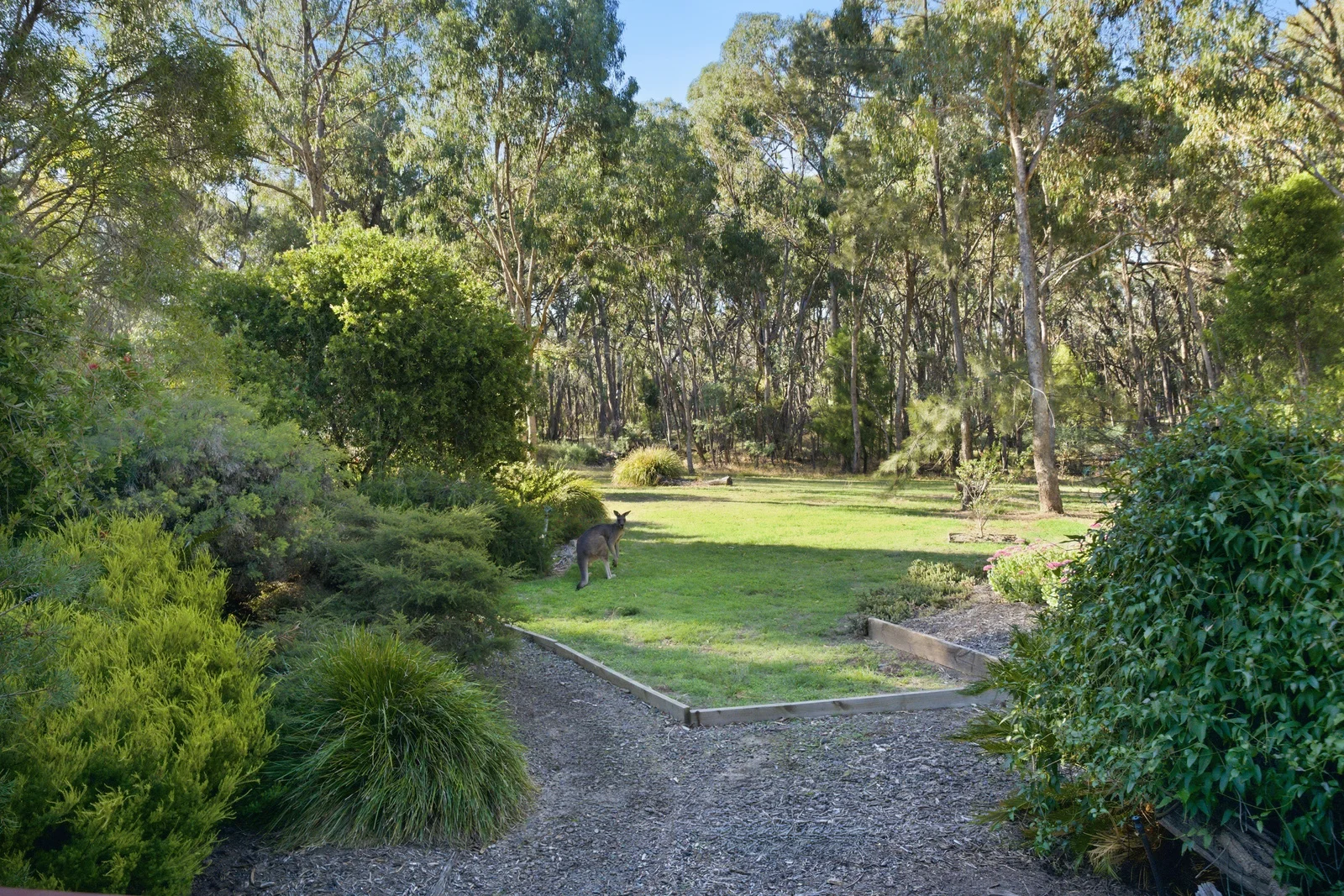 172 Johnstons Road, Barjarg VIC 3723 photo 4