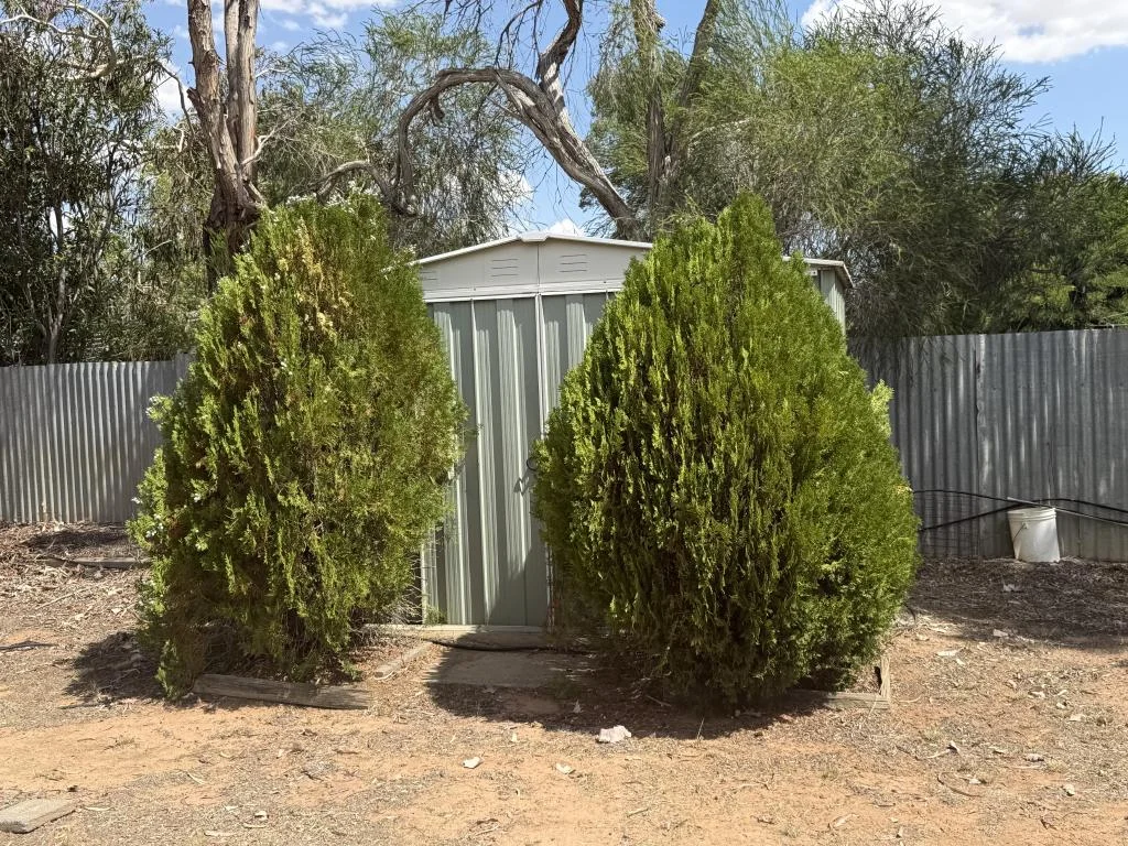 Additional image 13 of 56 Cobram Street, Berrigan NSW 2712