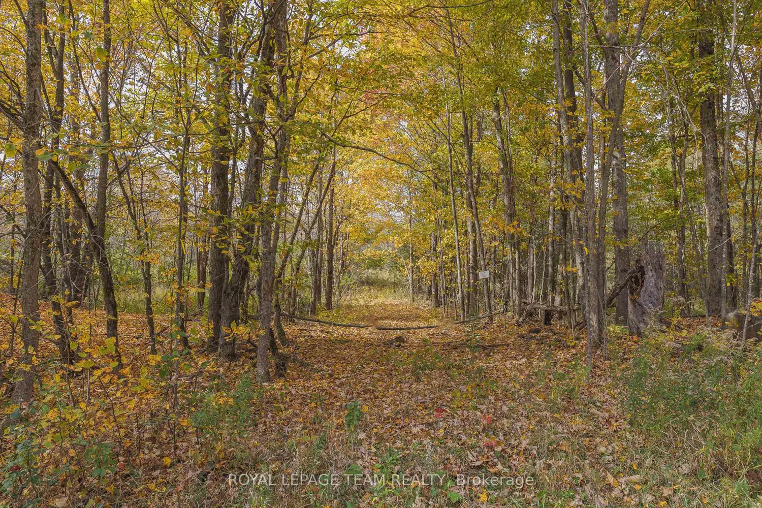 Additional image 3 of Lot 7 10Th Concession B Road