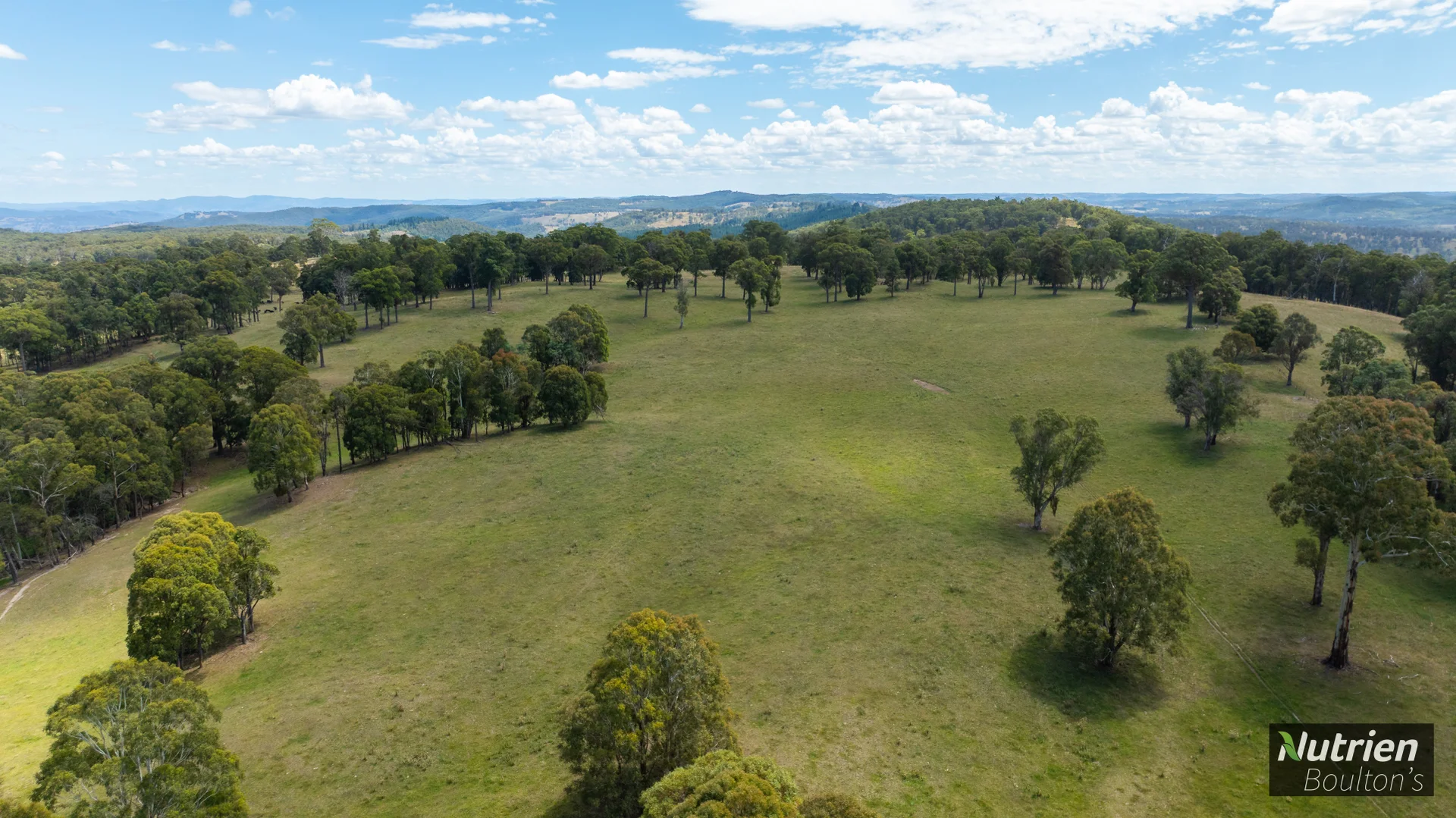 Additional image 19 of 224 Niangala-Walcha Road, Niangala NSW 2354