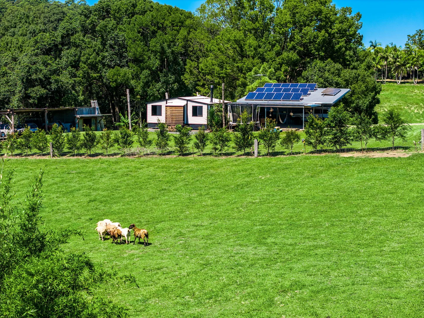 Additional image 32 of 61 Tallowood Road, Lillian Rock NSW 2480