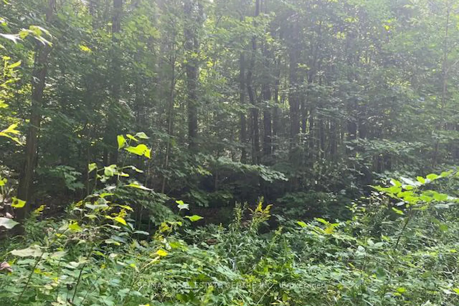 Additional image 15 of Pt Lt44 Chatsworth 24 Road